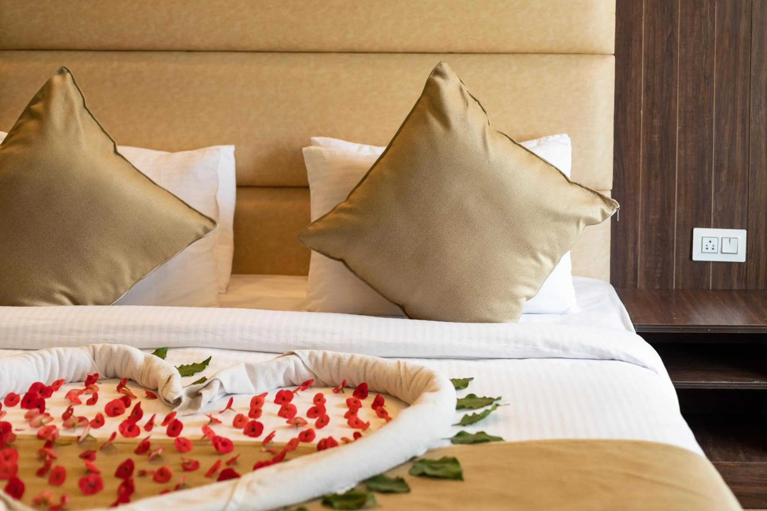 Bed in Pride Premier Solitaire