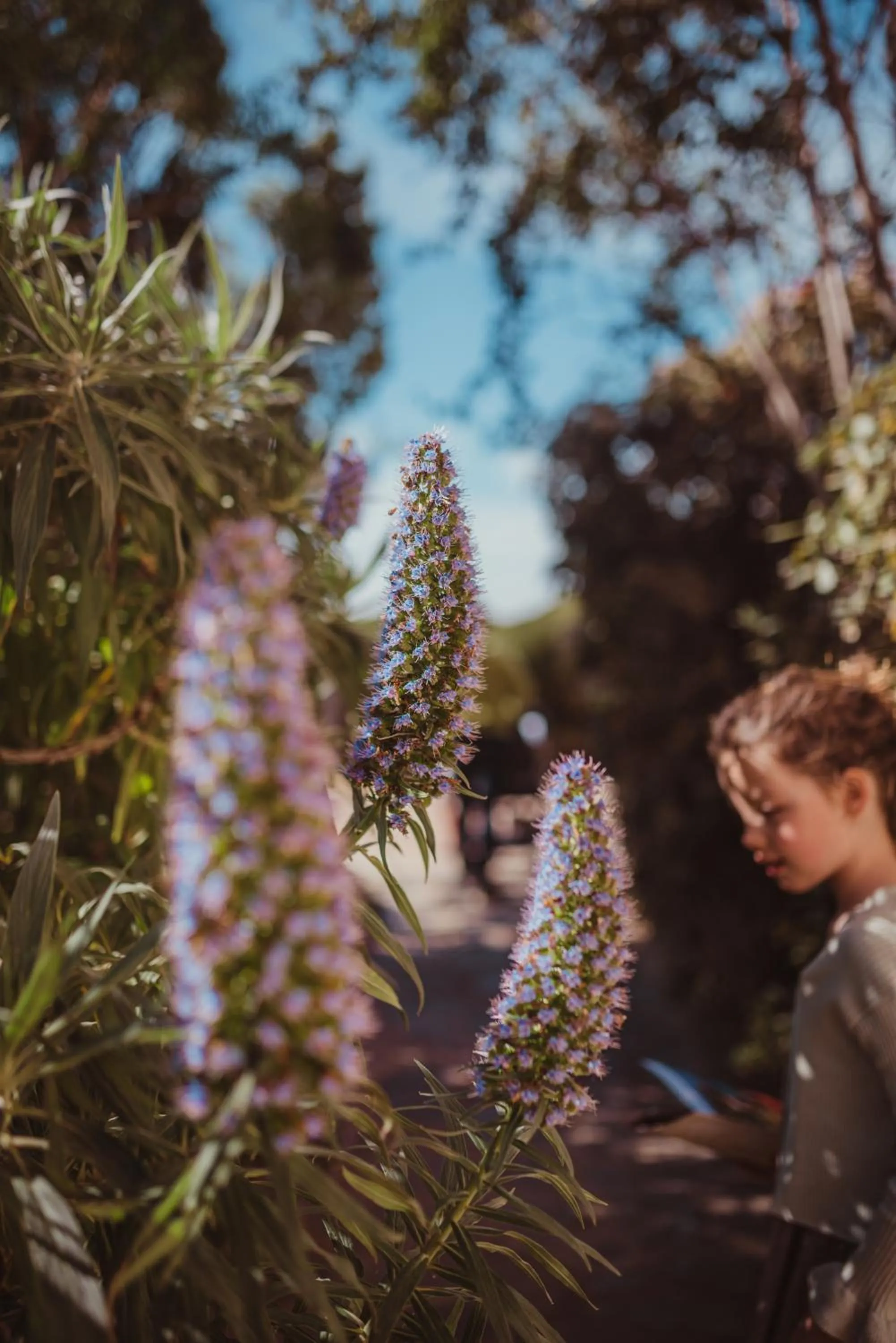 Natural landscape in La Résidence du Bailli