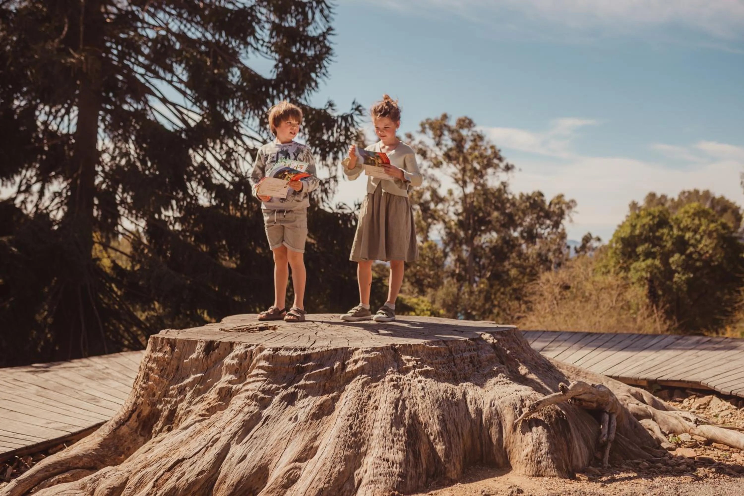 Natural landscape in La Résidence du Bailli