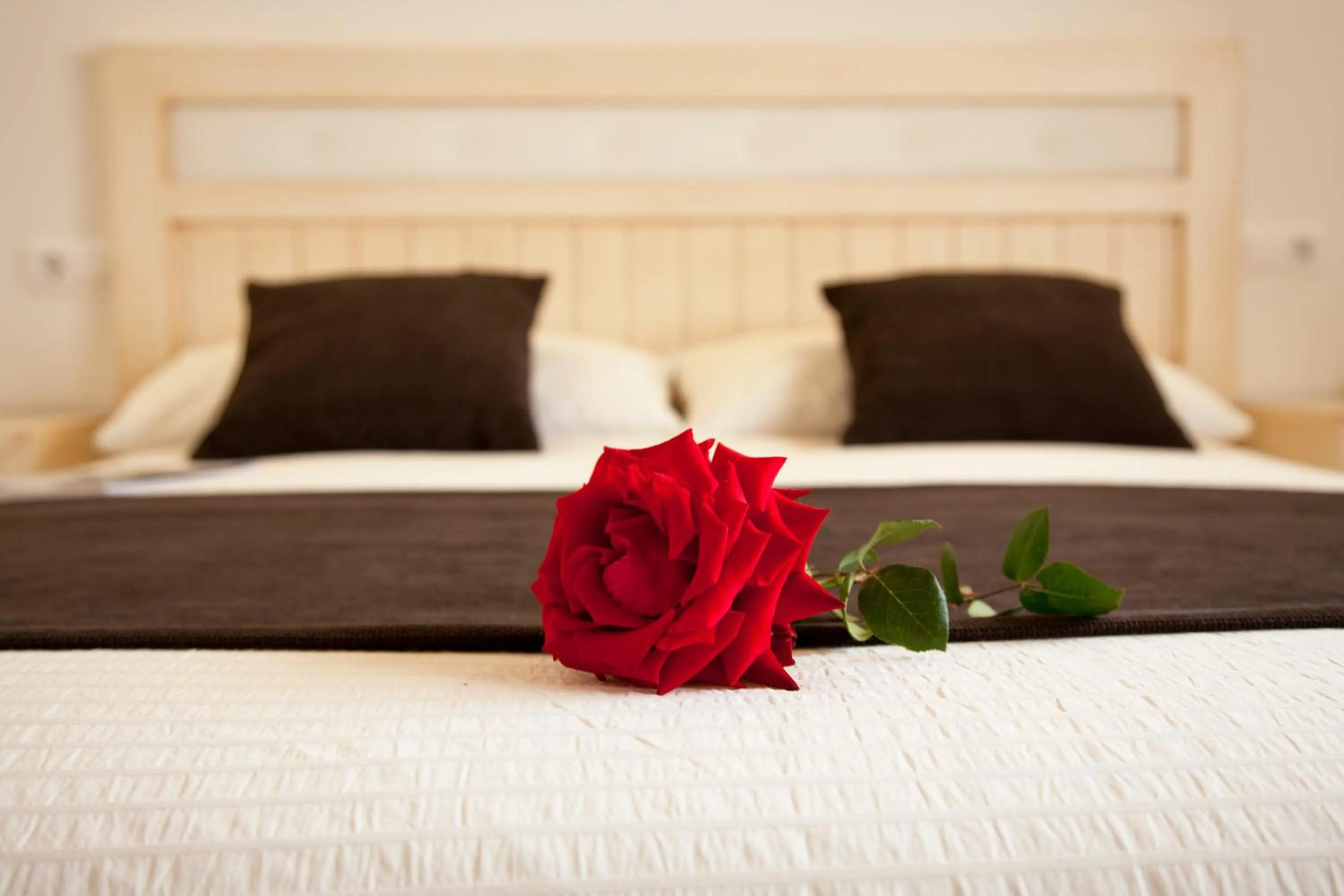 Other in AROHAZ Hotel & Restaurante