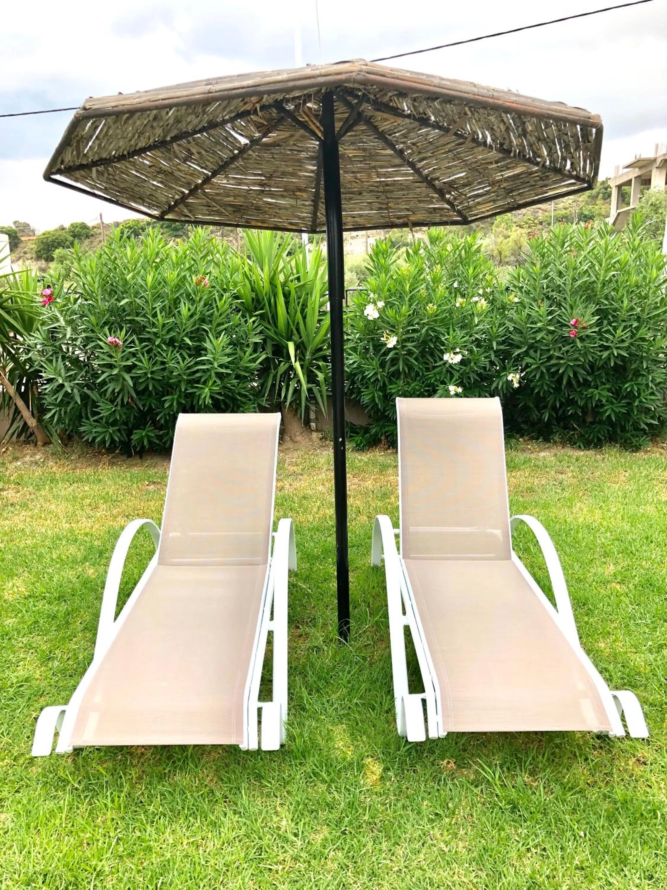 Garden in Rose Hotel Faliraki