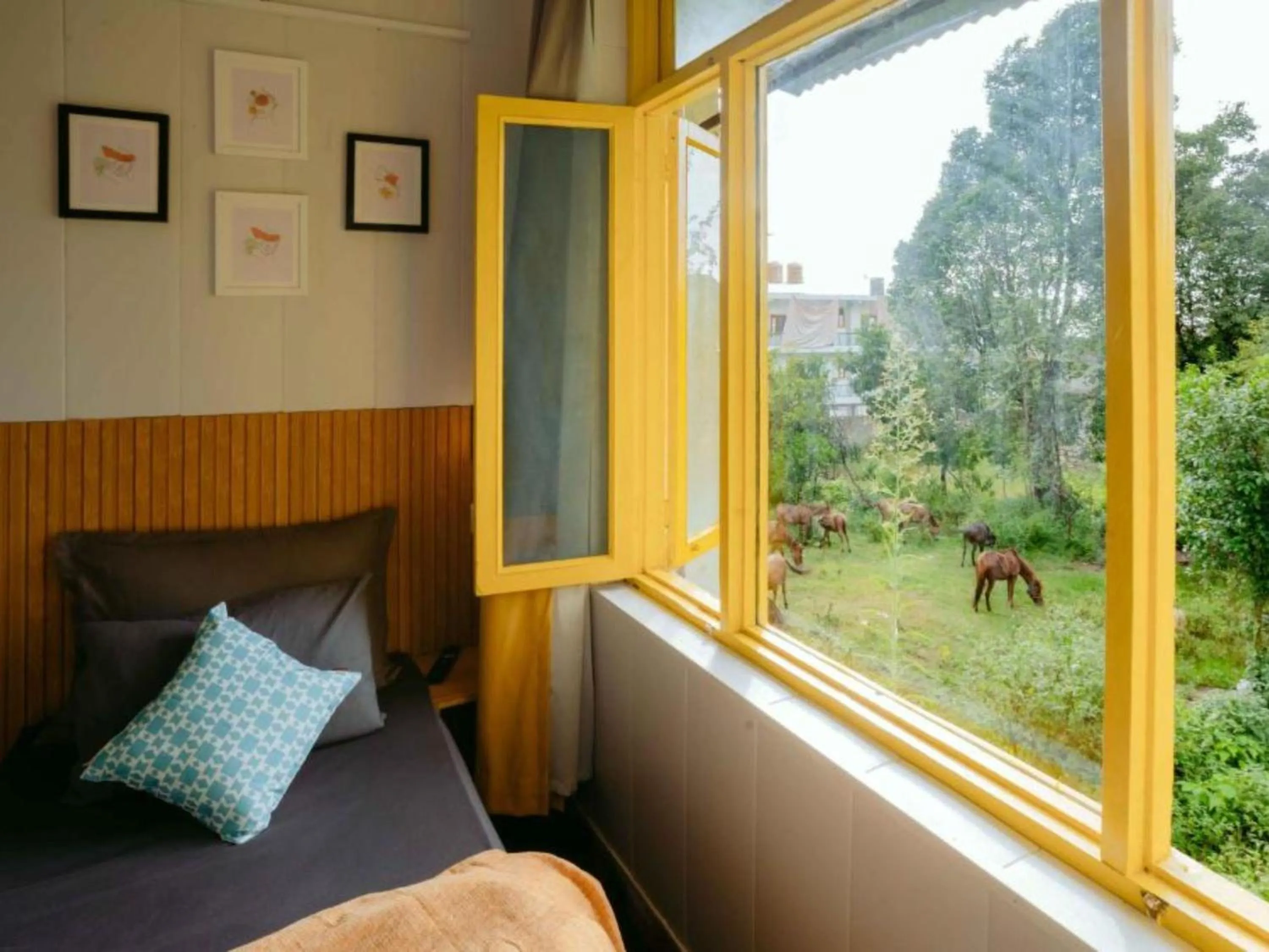 Bed in The Hosteller Bir