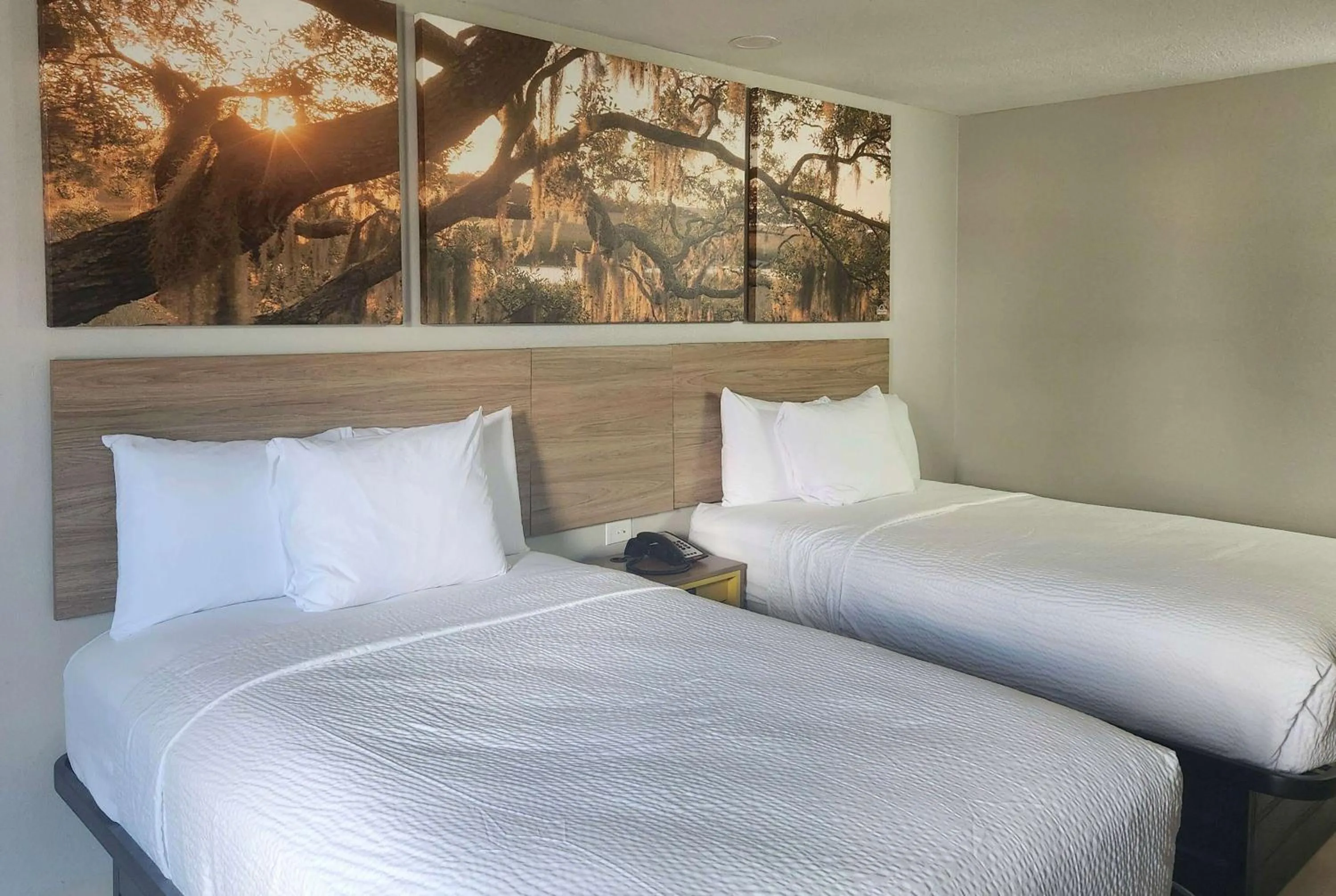 Photo of the whole room, Bed in Days Inn by Wyndham Lafayette Scott