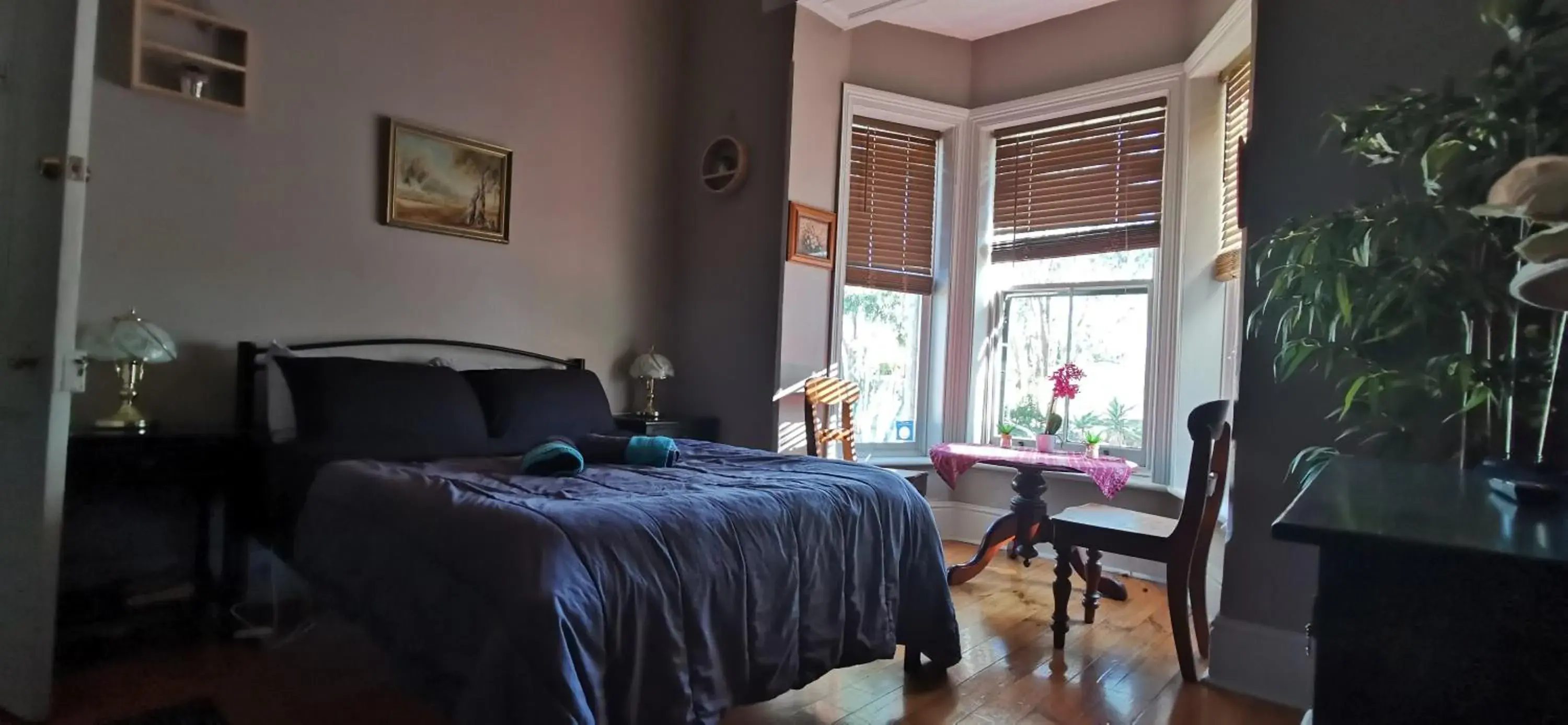 Vagabond Historic Vagabond Historic