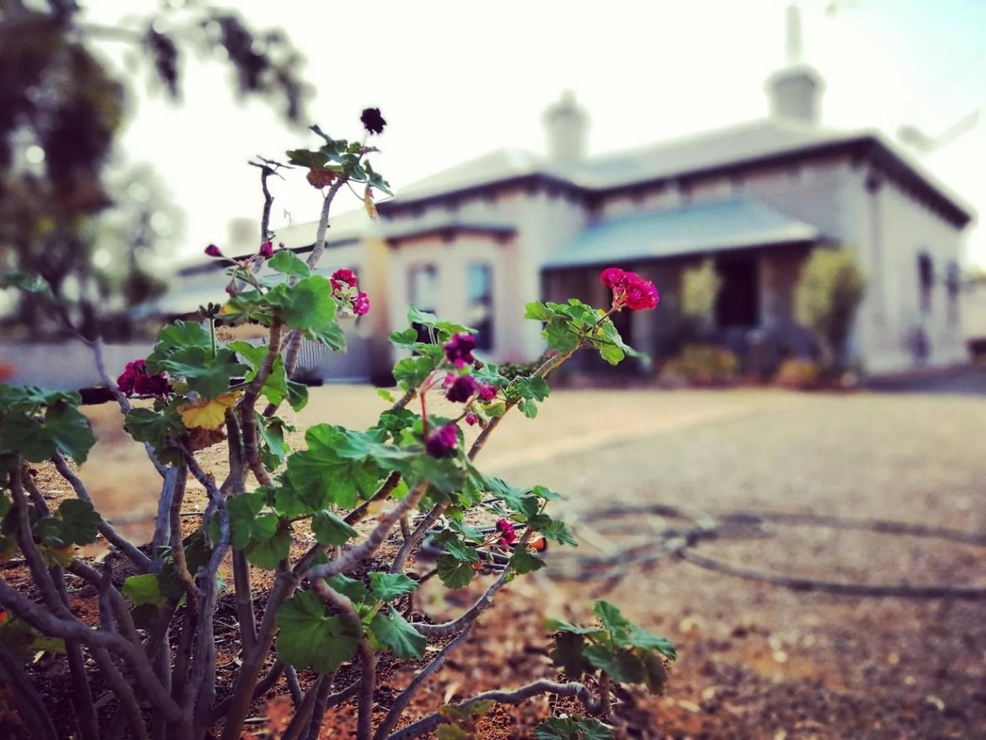 Property building in Vagabond Historic