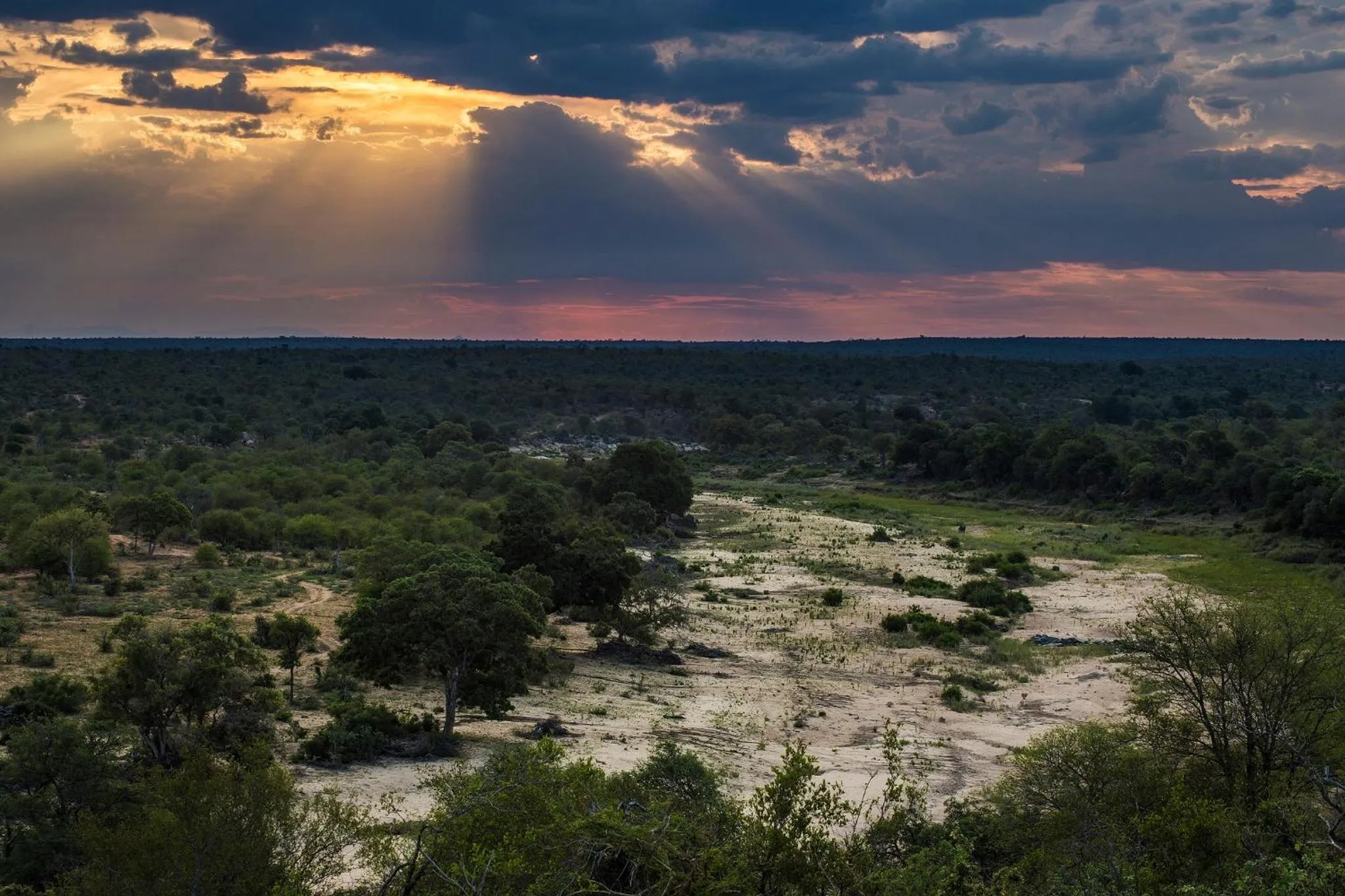 Natural landscape in Klaserie Drift Misava
