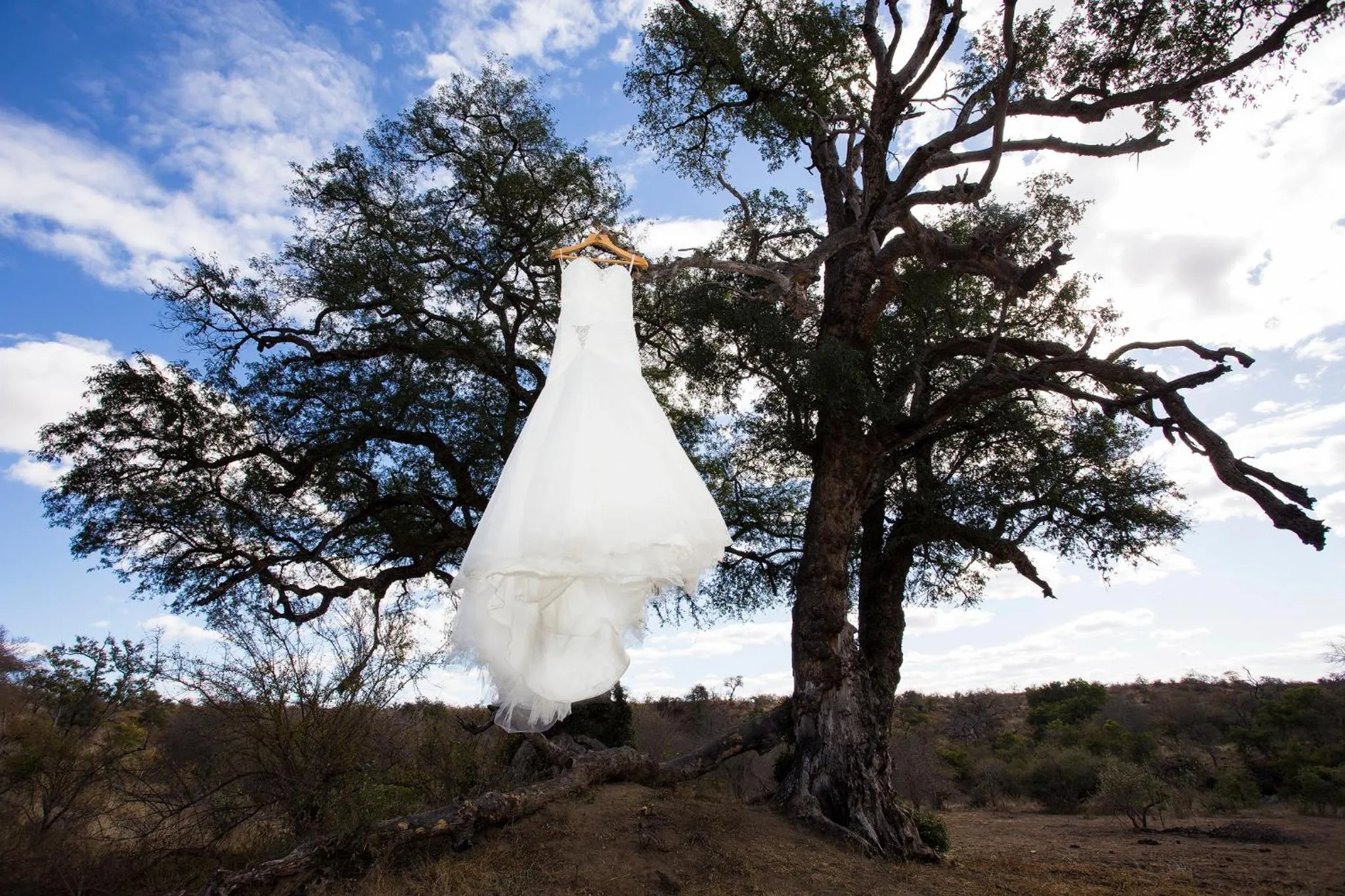 Activities in Klaserie Drift Misava