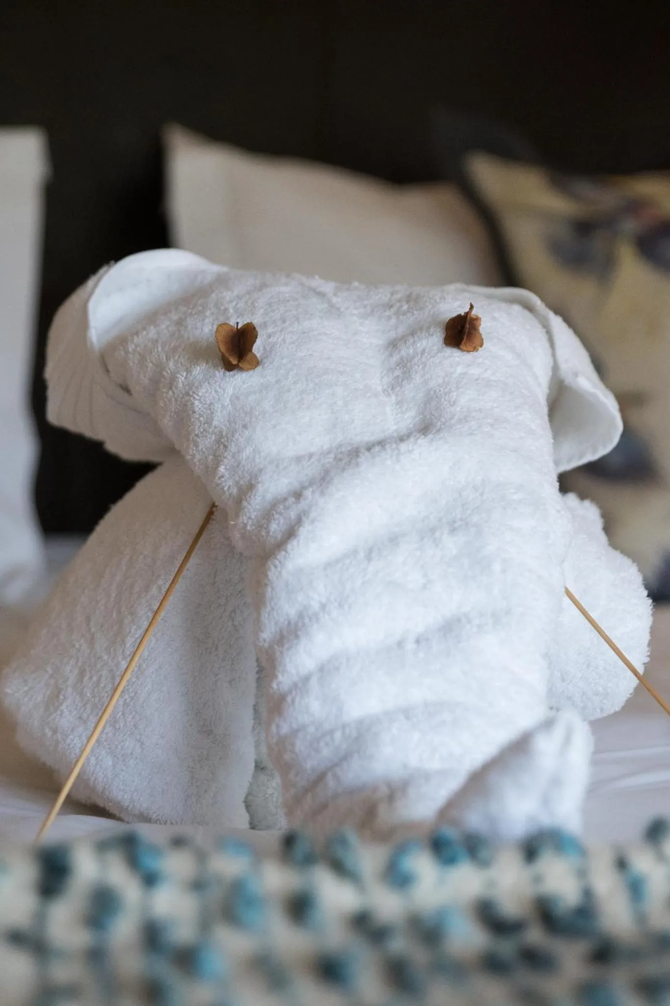 Bed in Klaserie Drift Misava