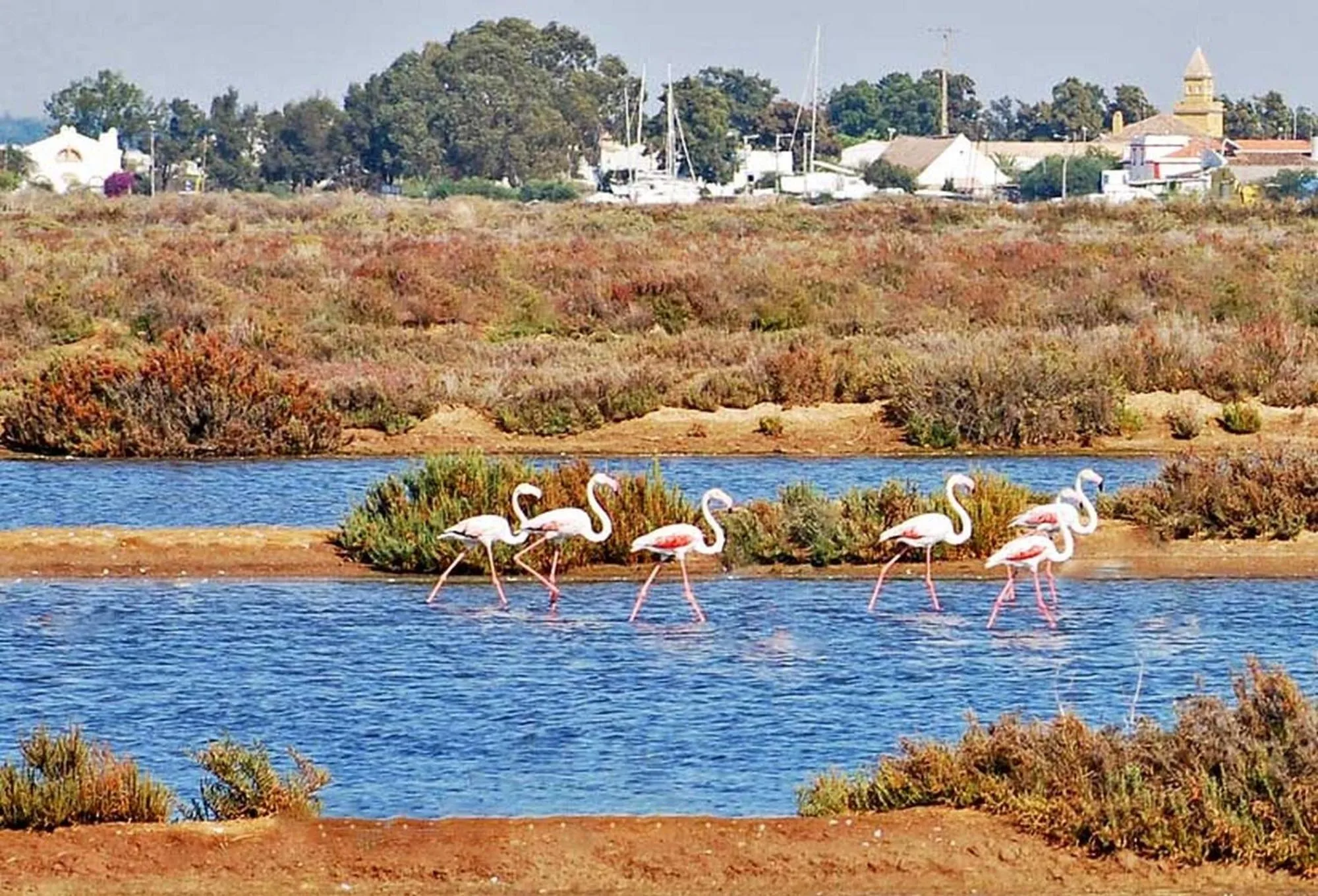 Natural landscape in Casa dos Ninos