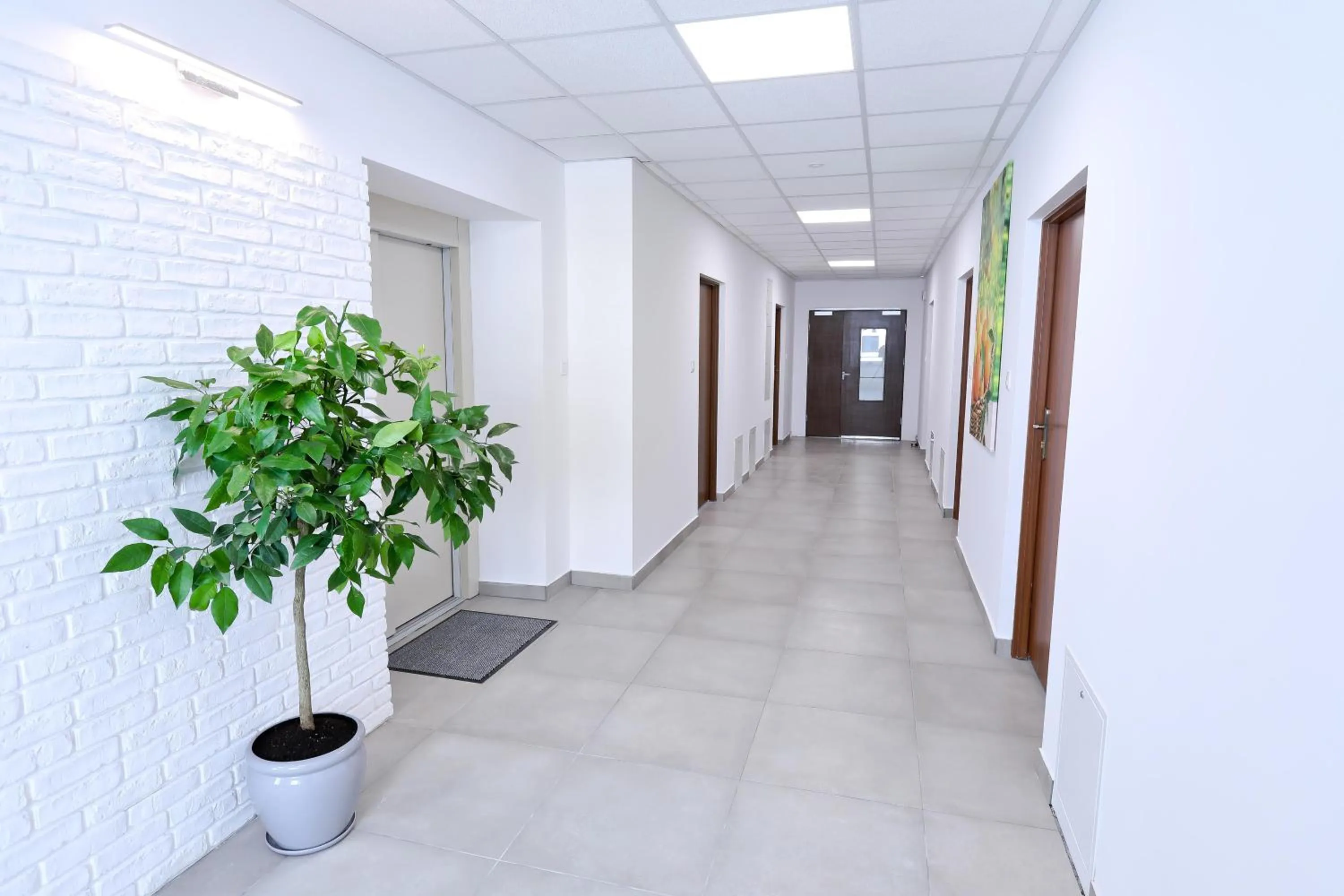 elevator in Orange Tree Hotel