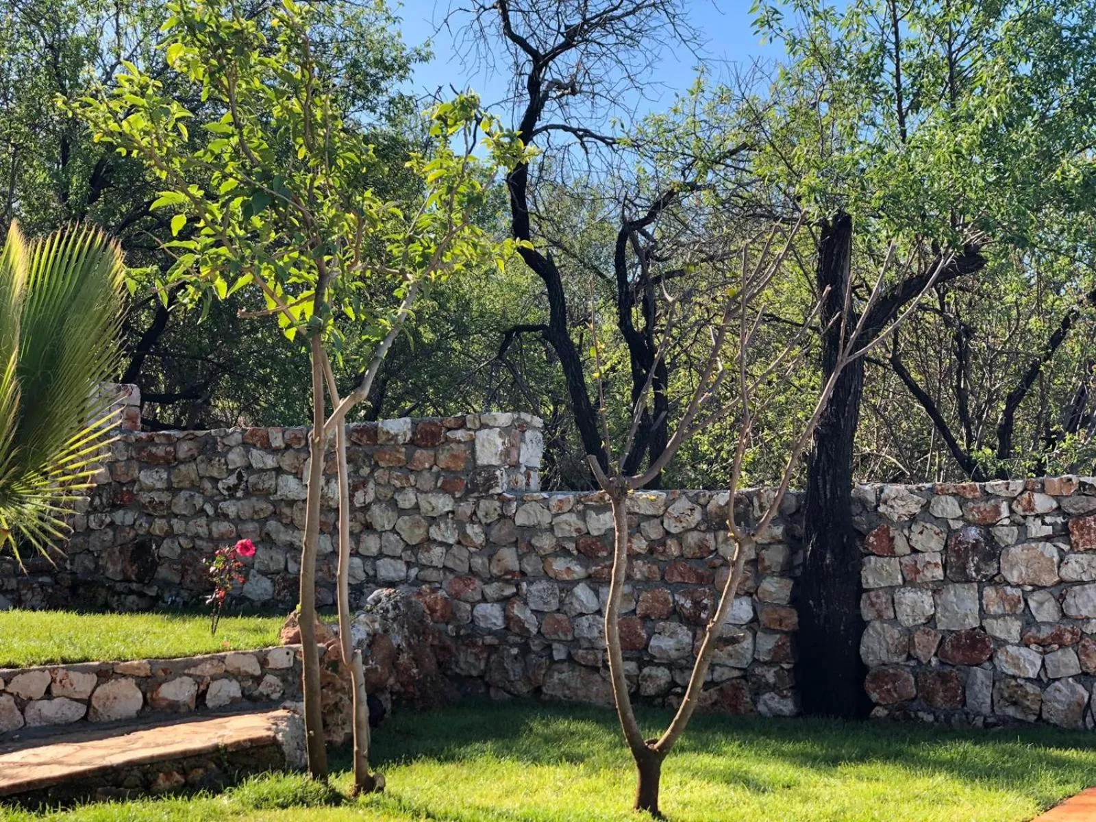 Property building in Kale Lodge - Adult Only + 15