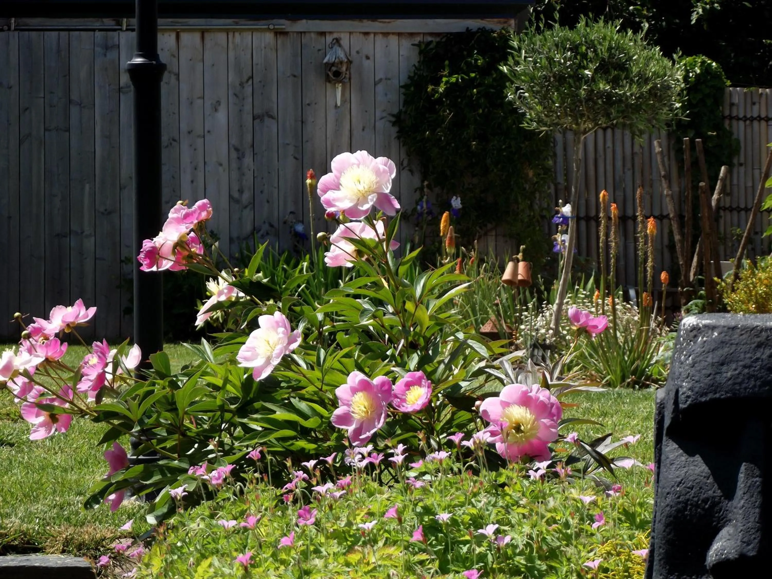 Il était une fois Brocéliande