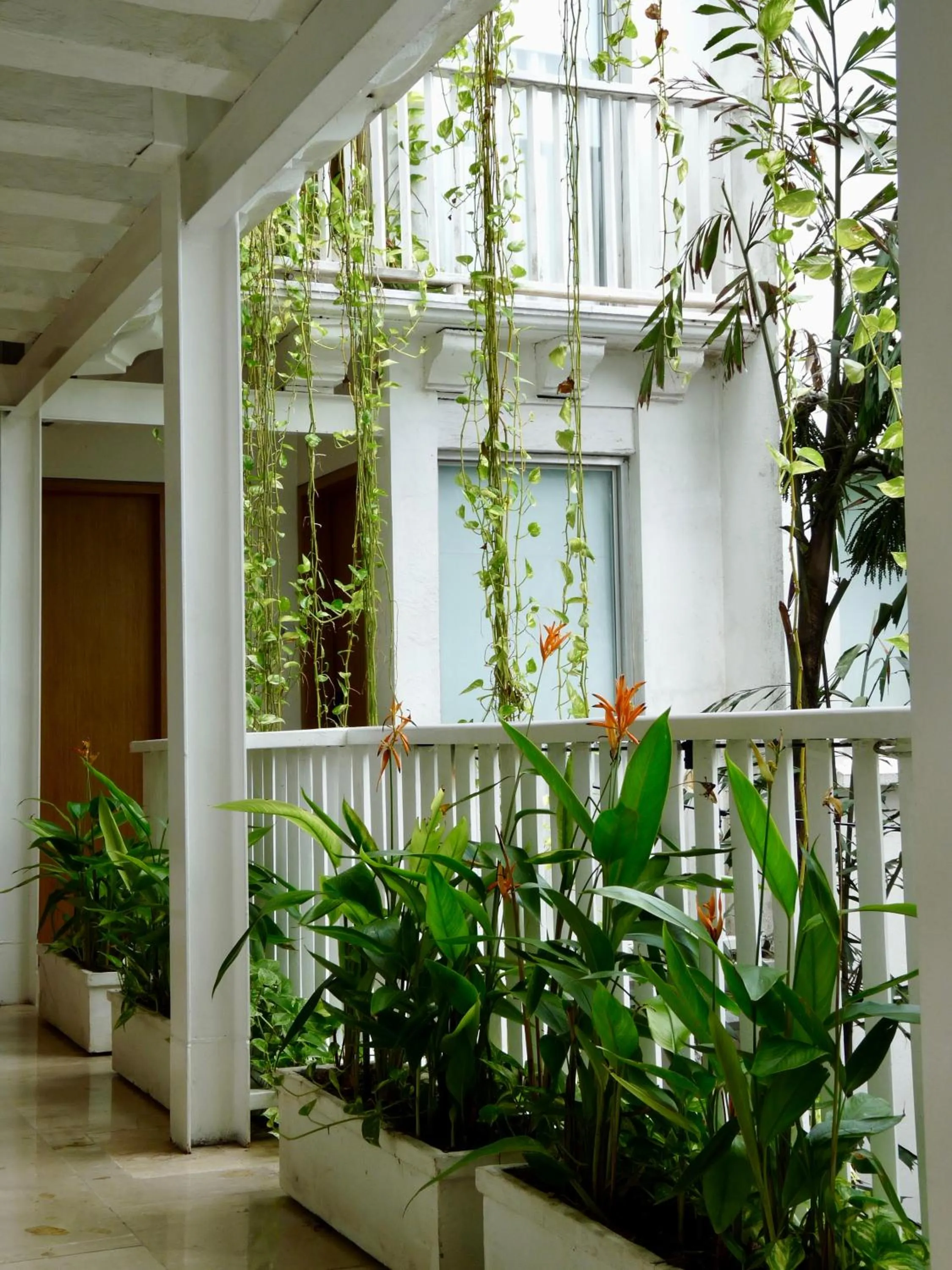 Property building in Delirio Hotel