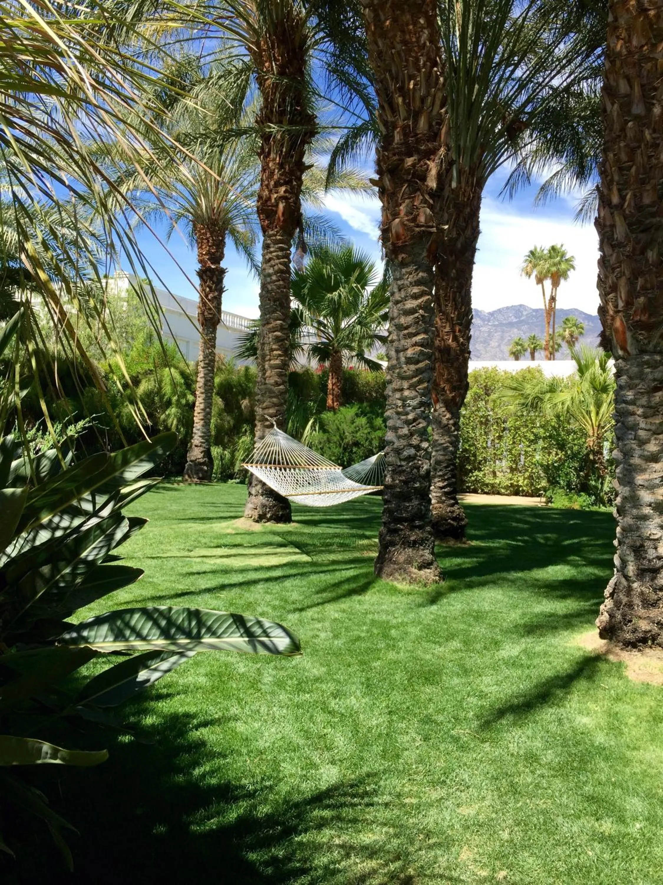 Garden in Parker Palm Springs