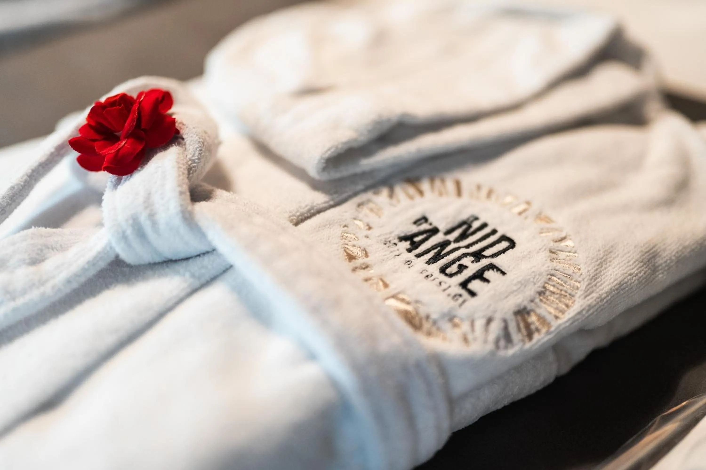 Property logo or sign in Le Nid d'Ange