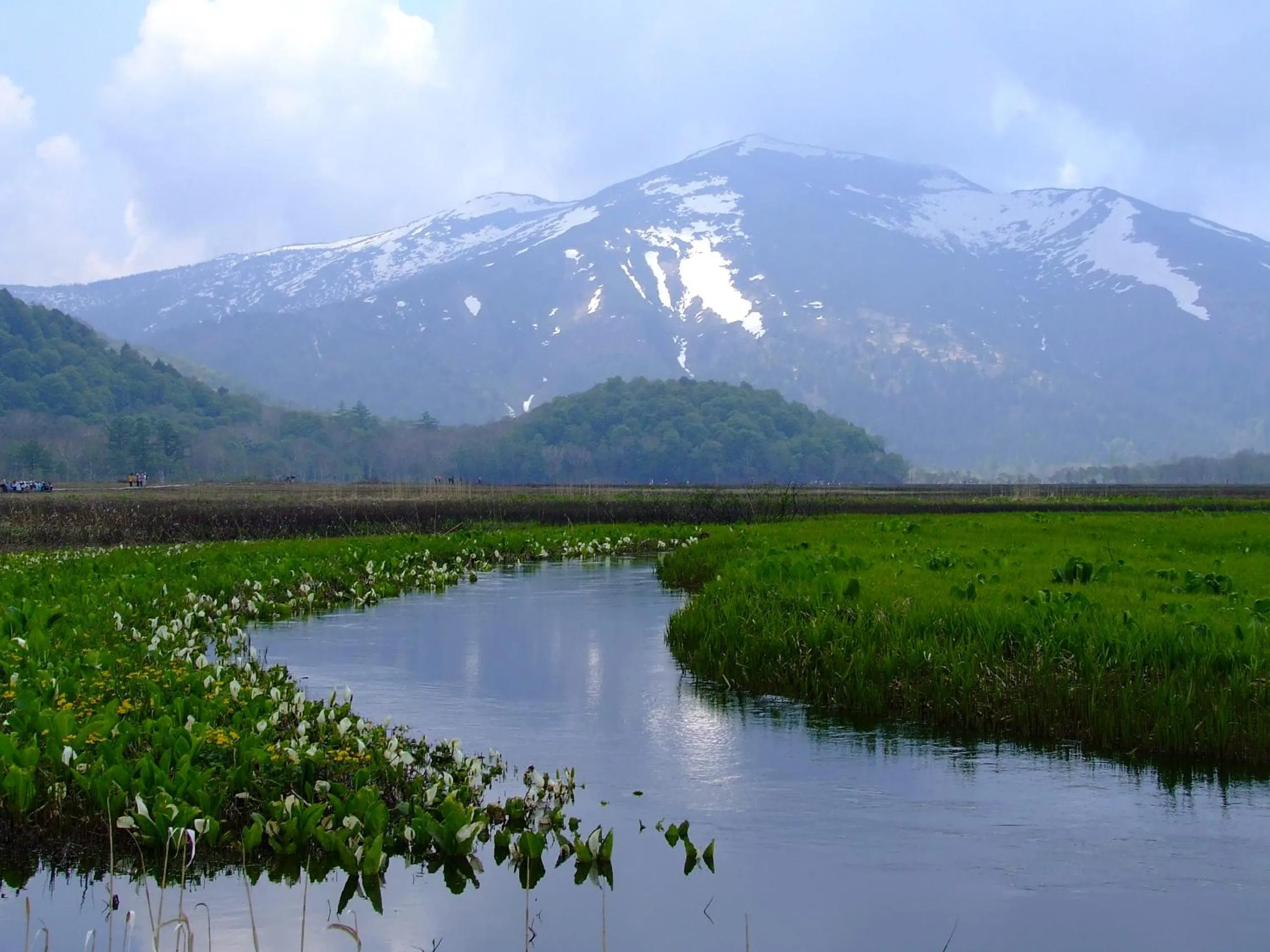 Summer in Pension Old String