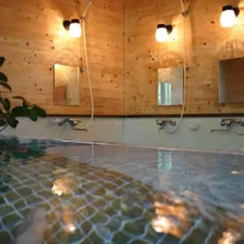 Hot Spring Bath in Pension Old String