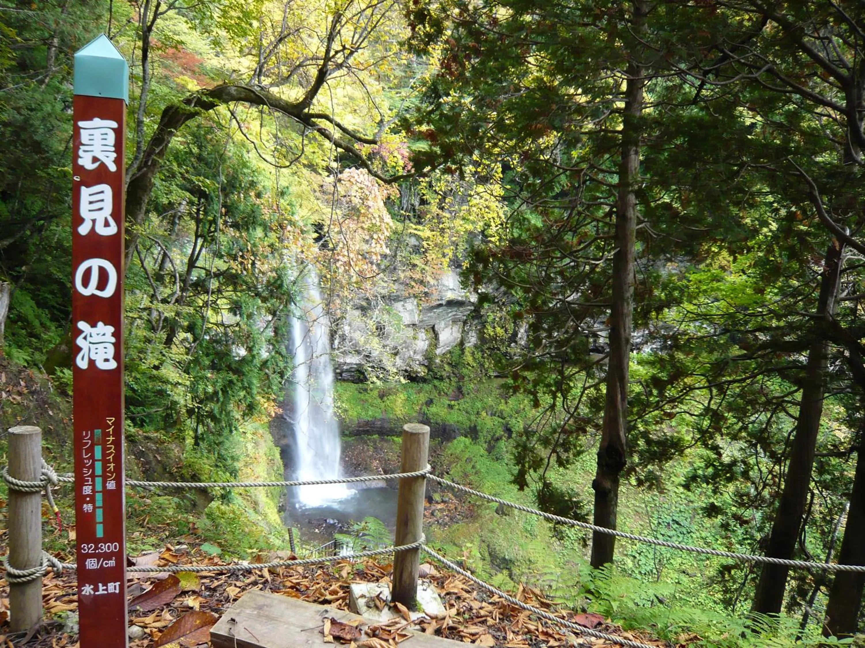 Other in Pension Old String