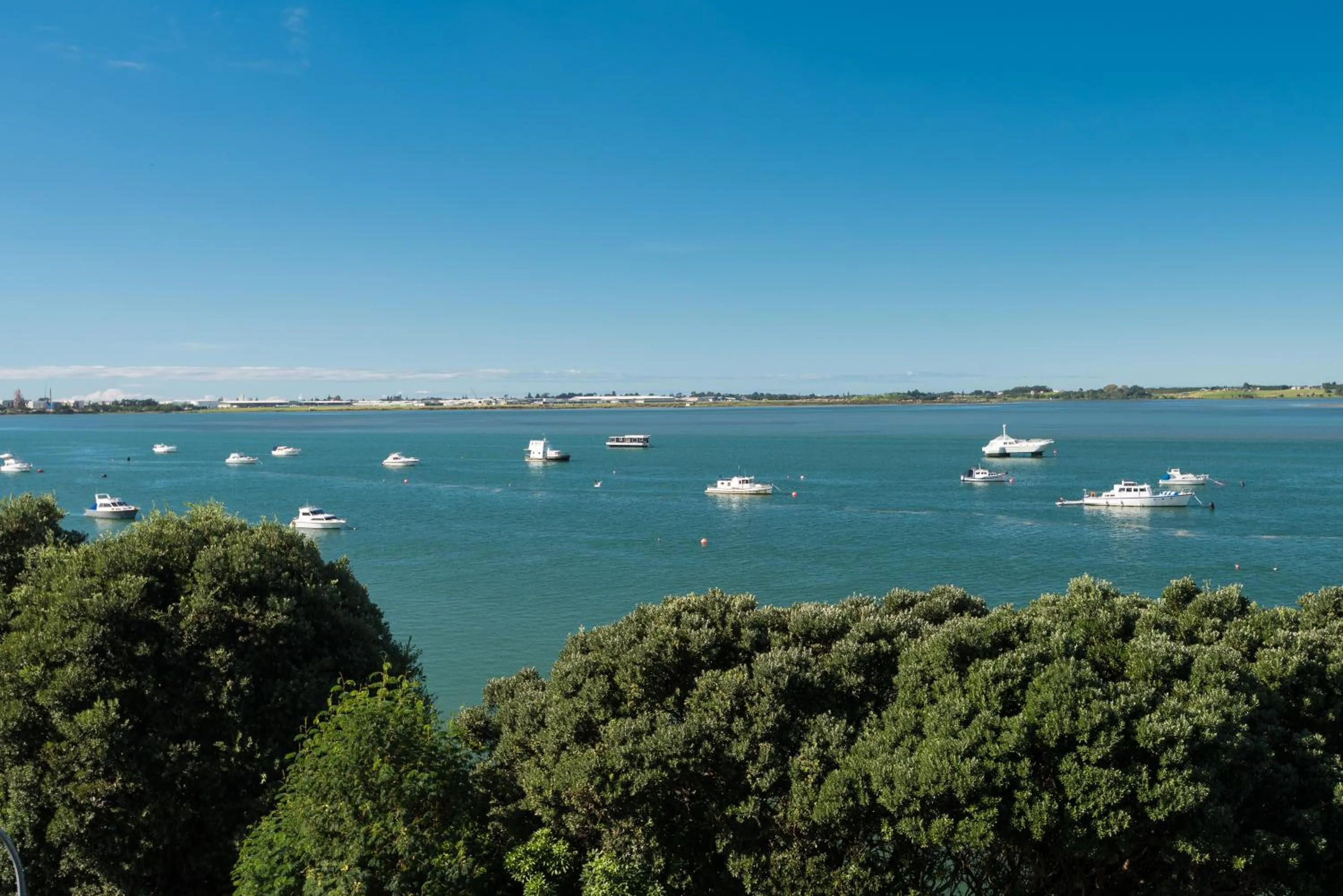 View (from property/room) in Hotel on Devonport