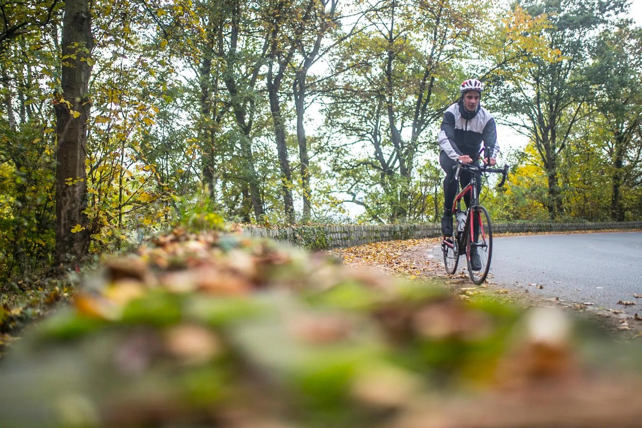 Cycling in Hotel Valkenburg by Mercure - Next to Shimano Experience Center