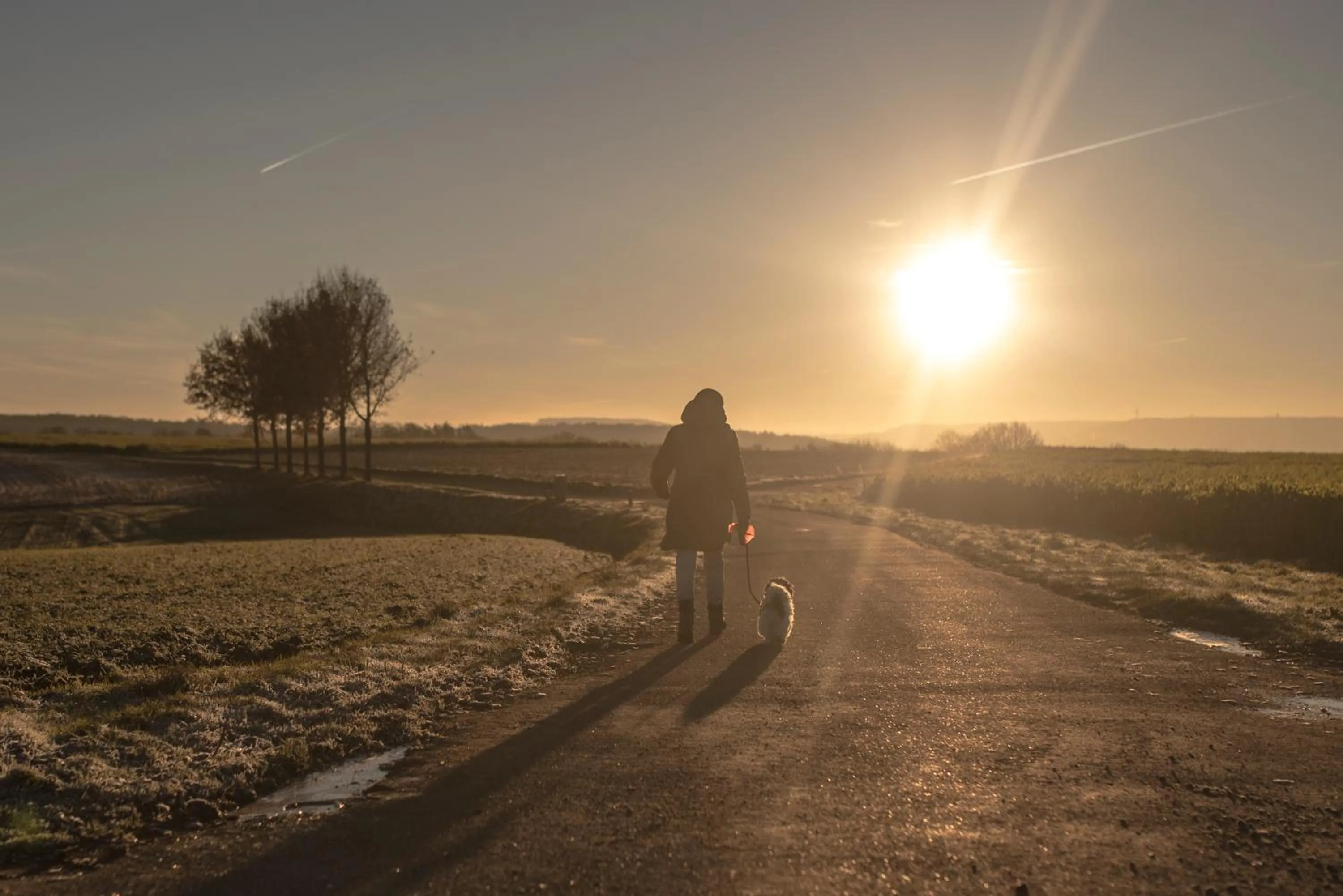 Hiking in Hotel Valkenburg by Mercure - Next to Shimano Experience Center