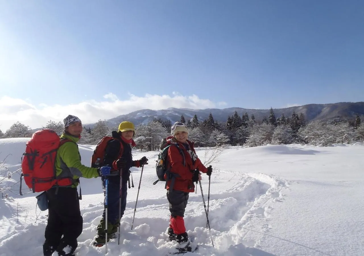 Skiing in Holiday House Green Garden