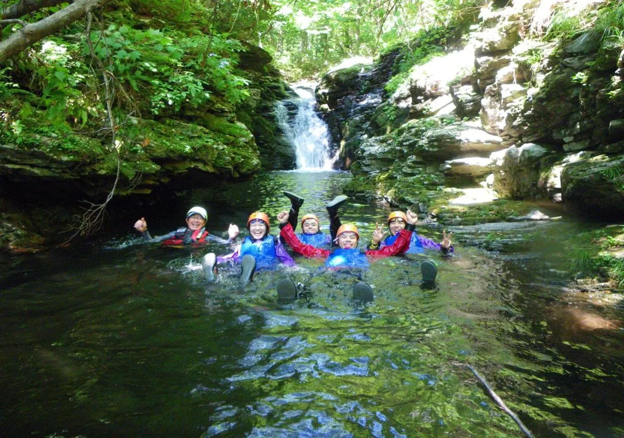 Sports in Holiday House Green Garden