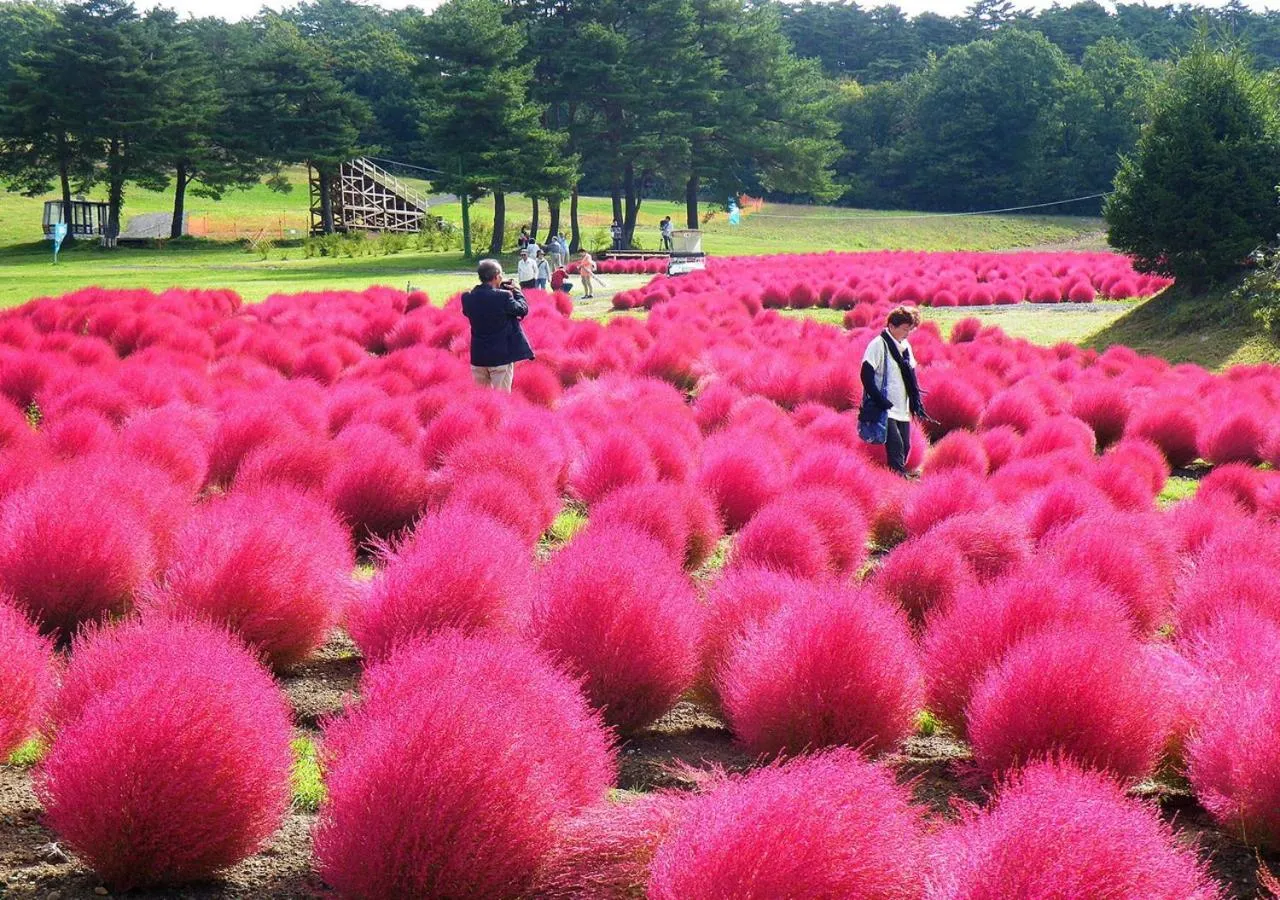 Hiking in Holiday House Green Garden
