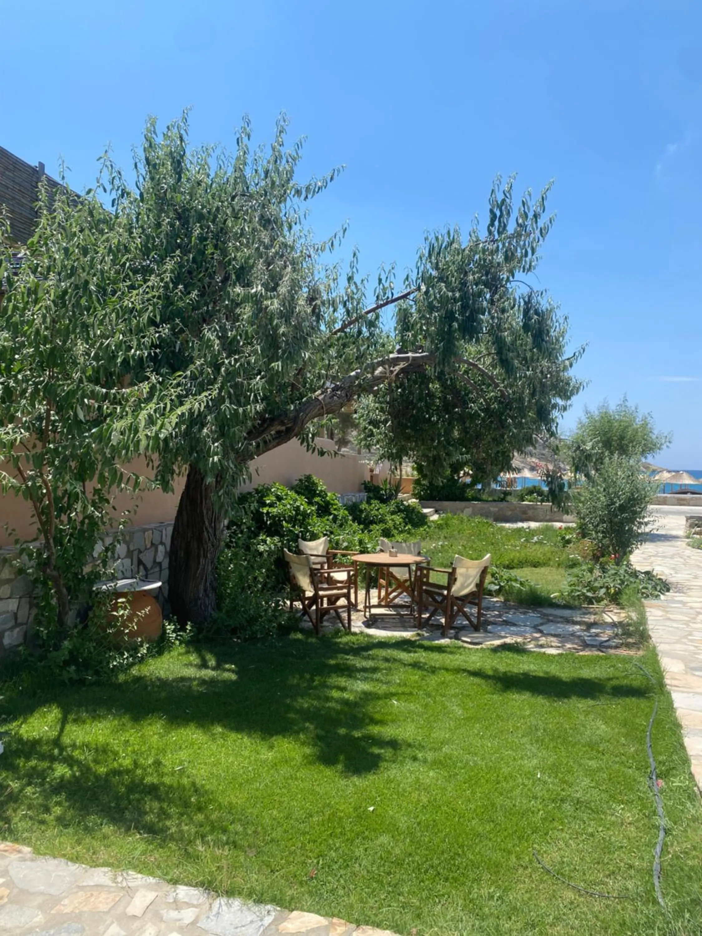 Garden in Nissos Ios