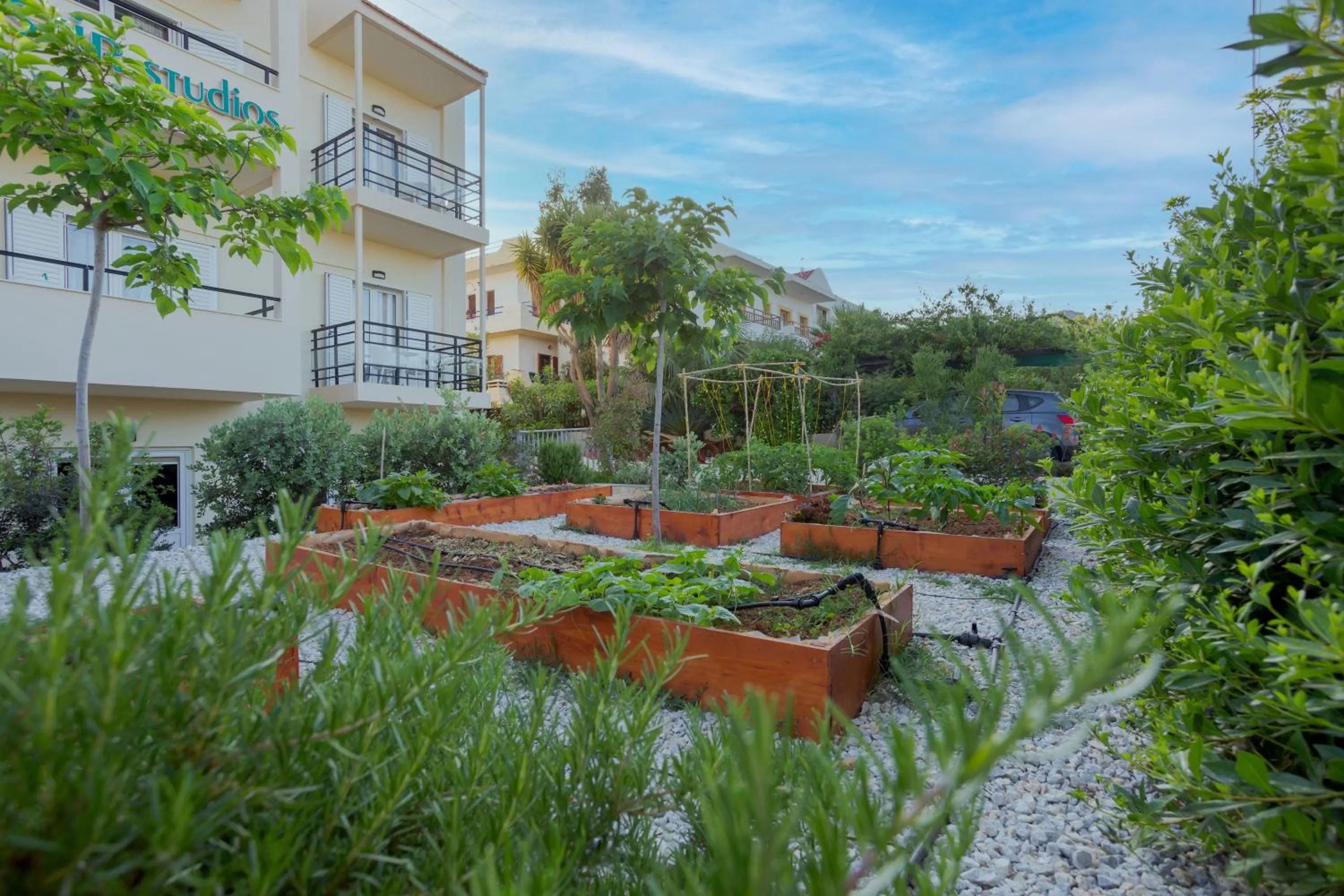 Garden in Astir Studios