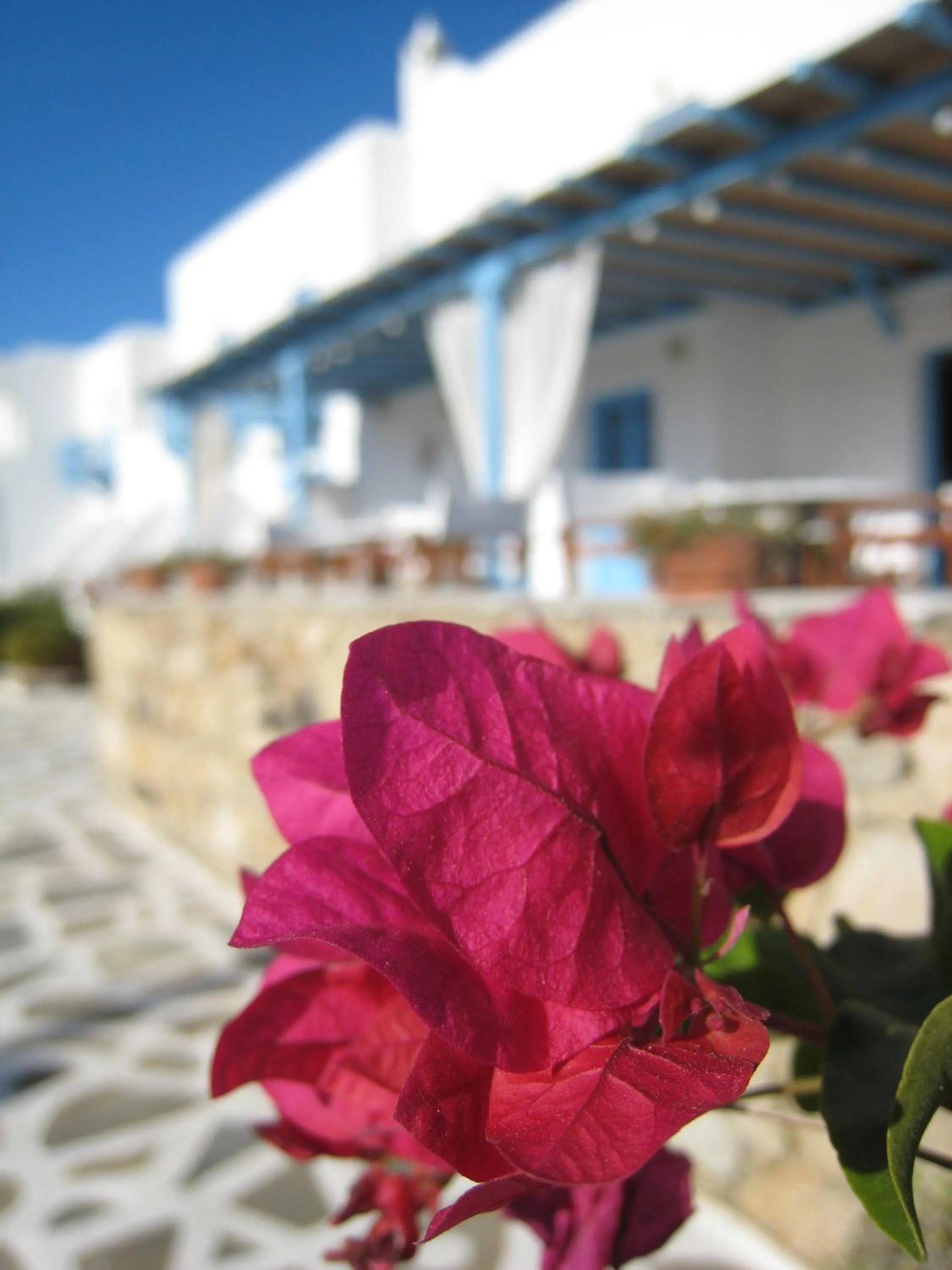 Other in Erato Hotel Mykonos