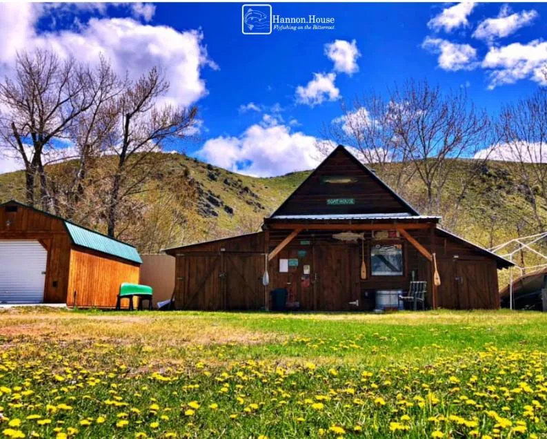 Property building in Hannon House
