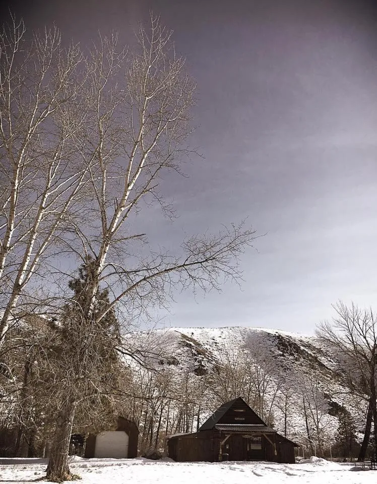 Property building in Hannon House