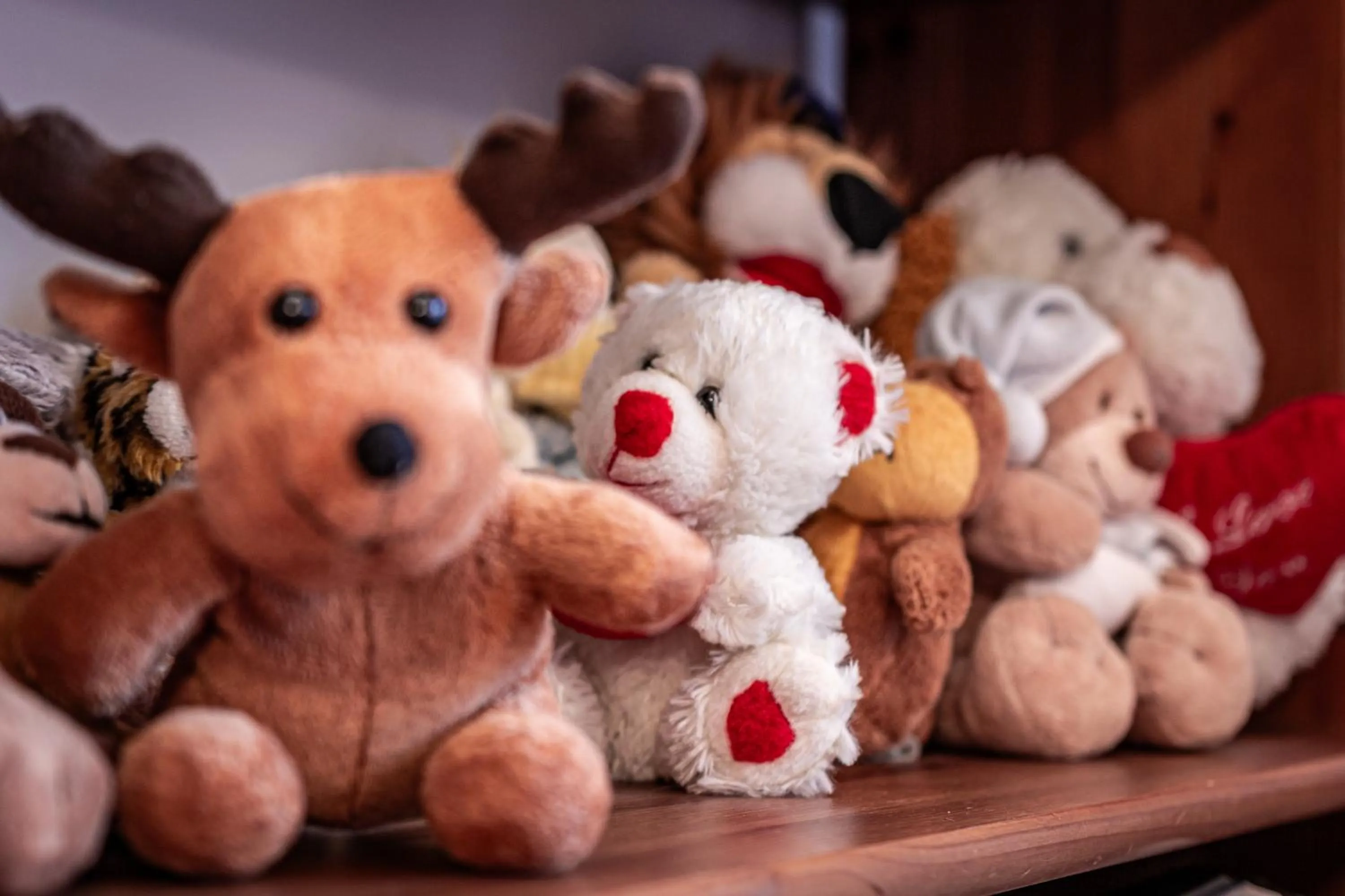 Children play ground in Aparthotel Pod Nosalem