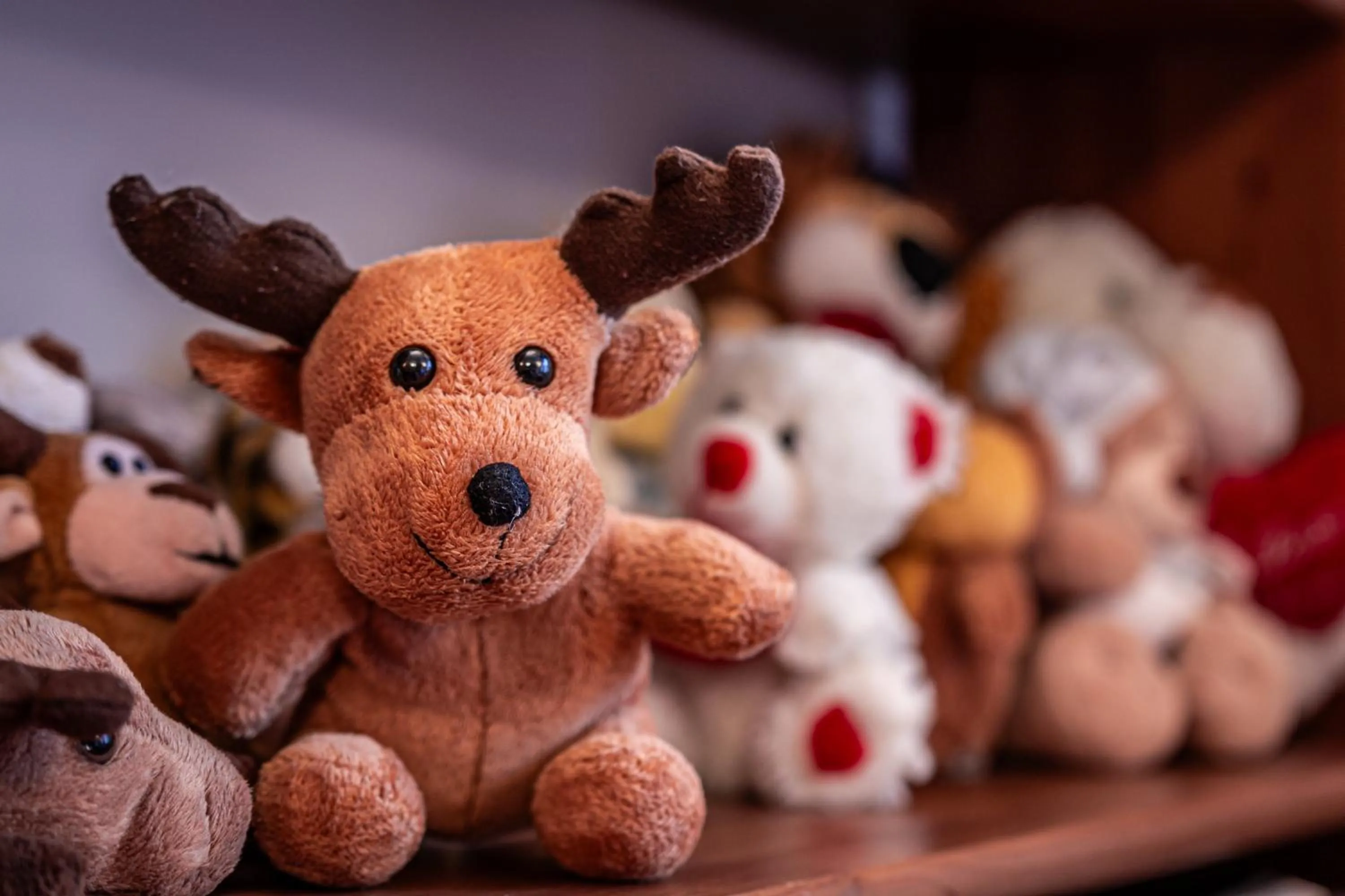 Decorative detail in Aparthotel Pod Nosalem