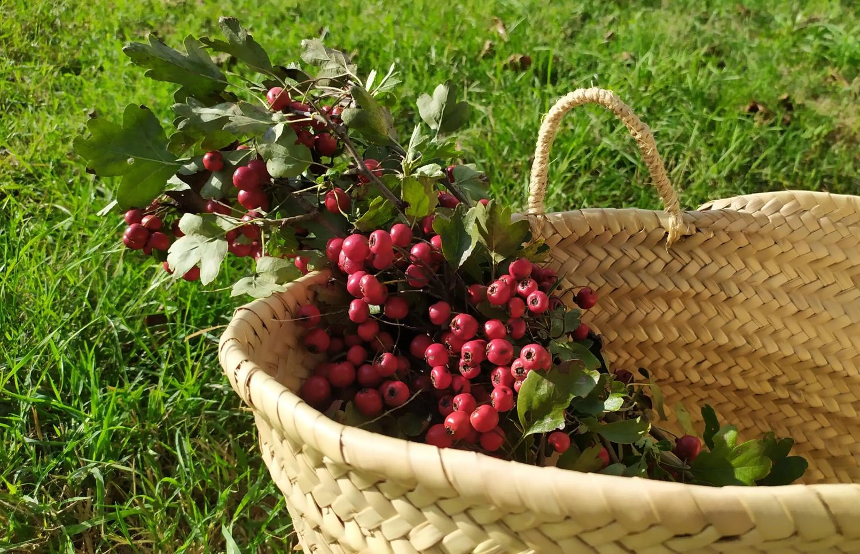 Spring in DAGO Farmhouse