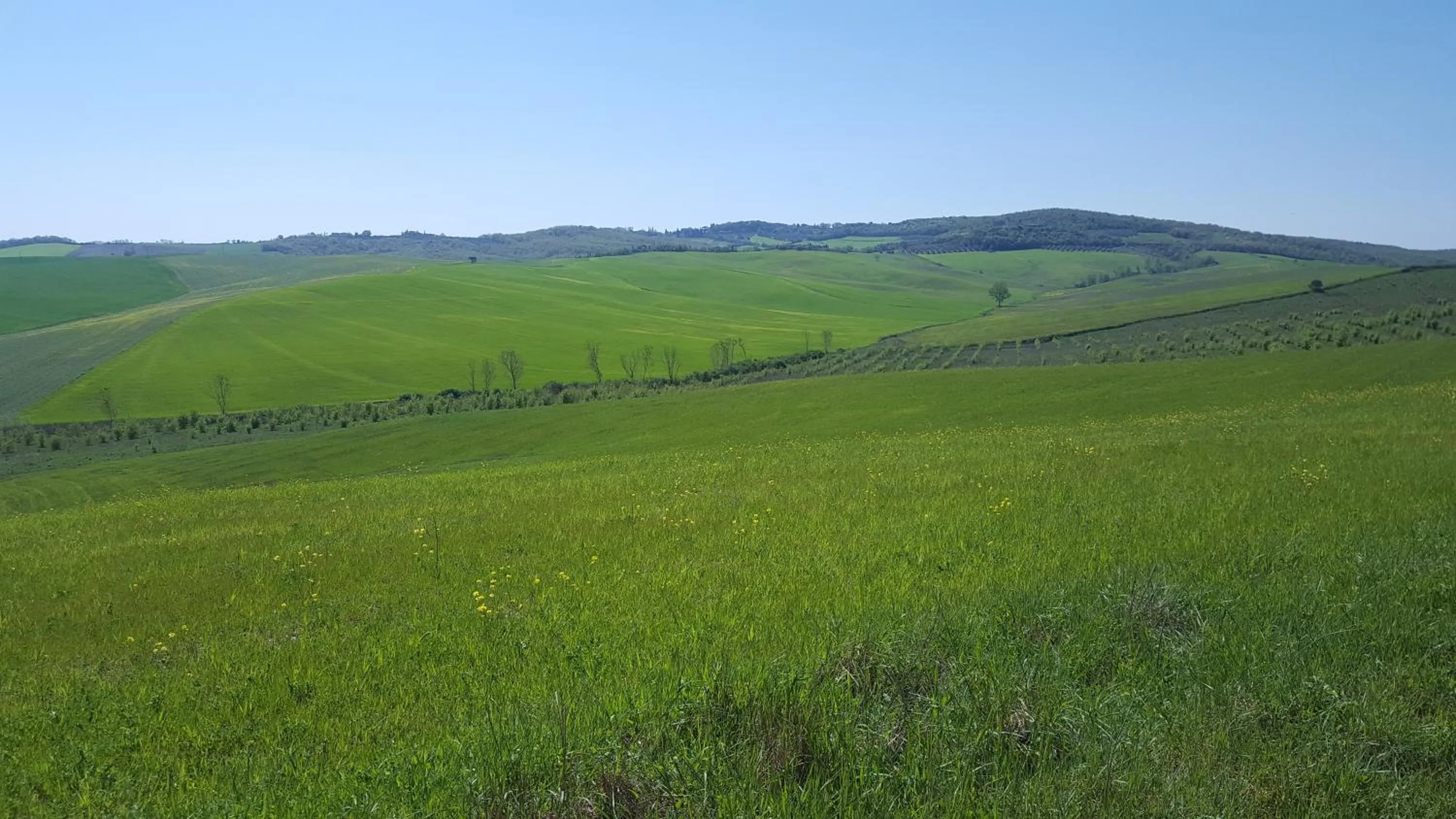 Natural landscape in DAGO Farmhouse