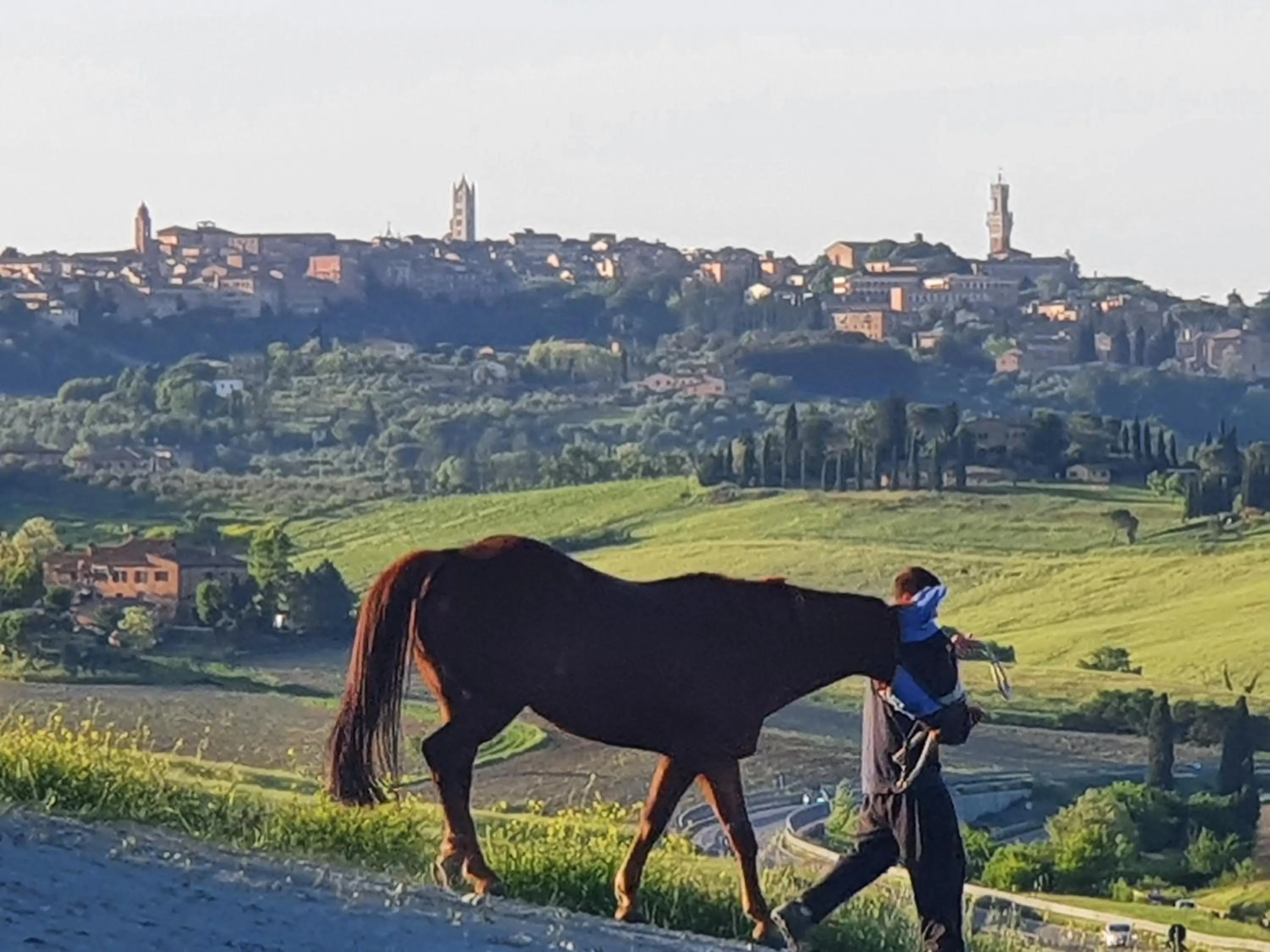 Natural landscape in DAGO Farmhouse