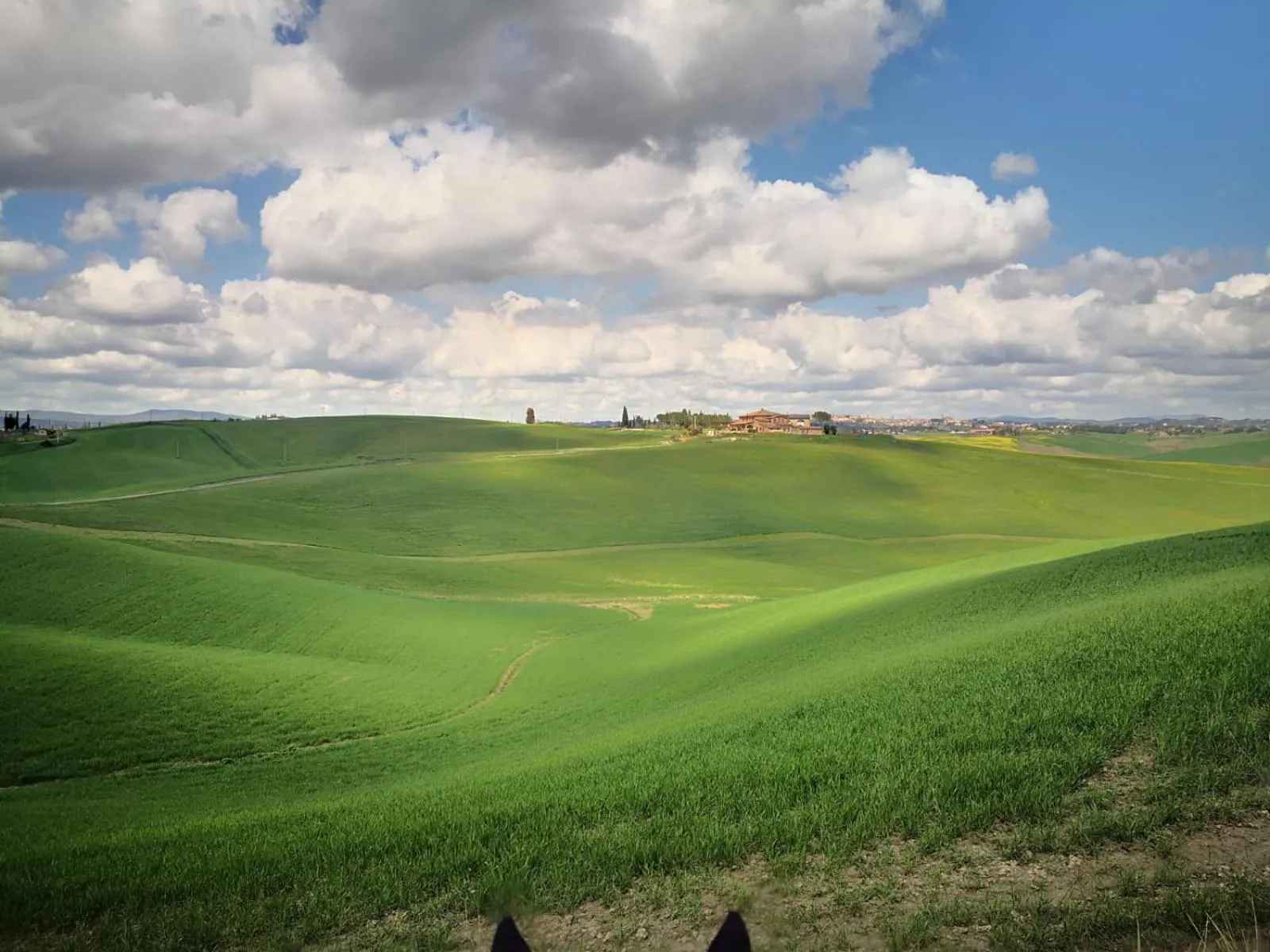 Natural landscape in DAGO Farmhouse