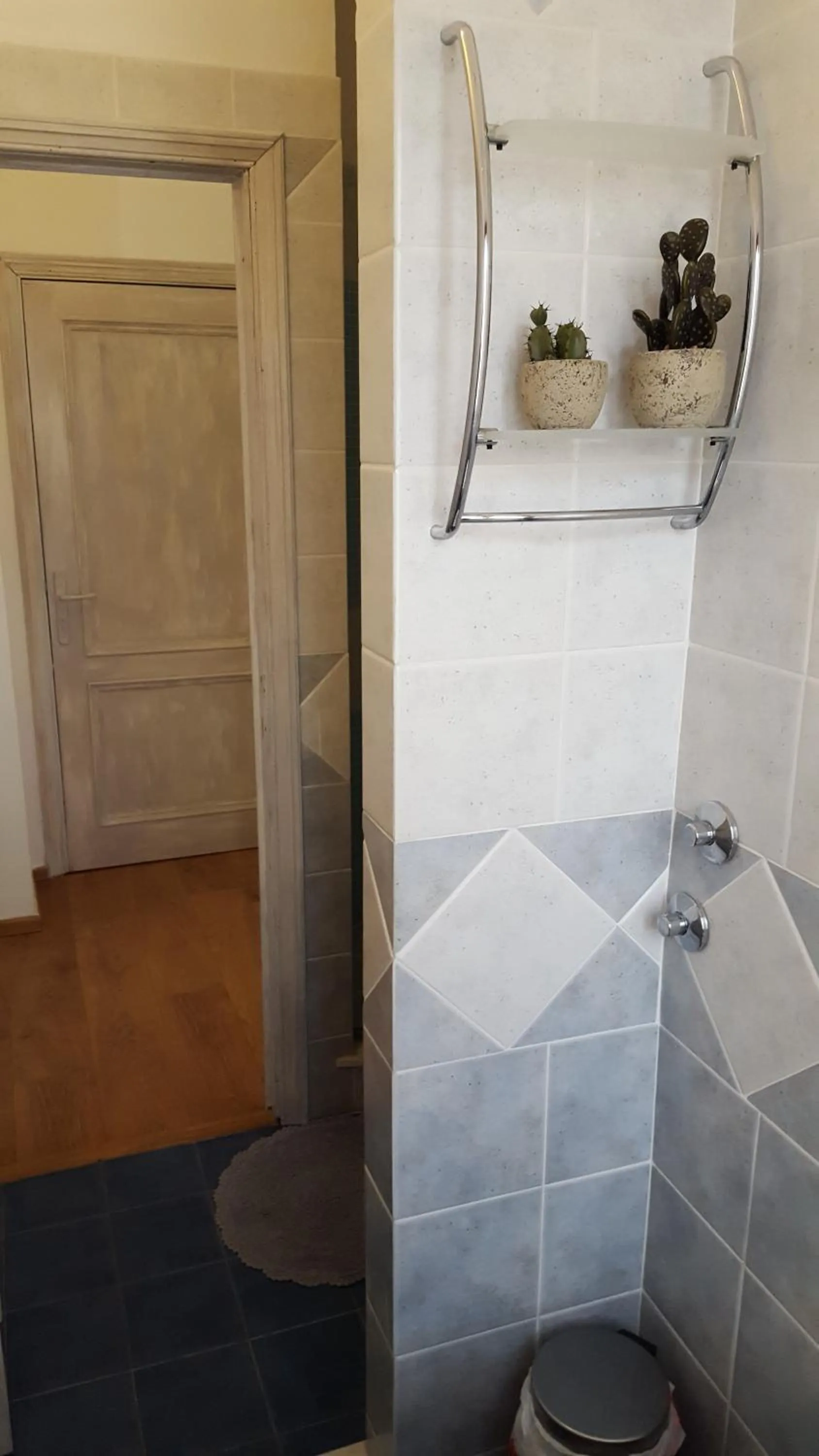 Shower in DAGO Farmhouse