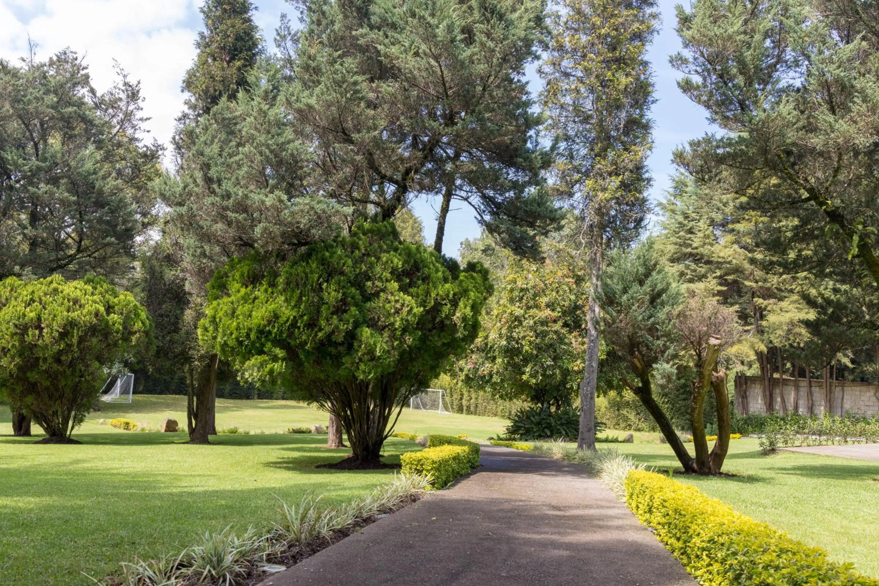 Garden in Hotel Boutique Unico Avandaro
