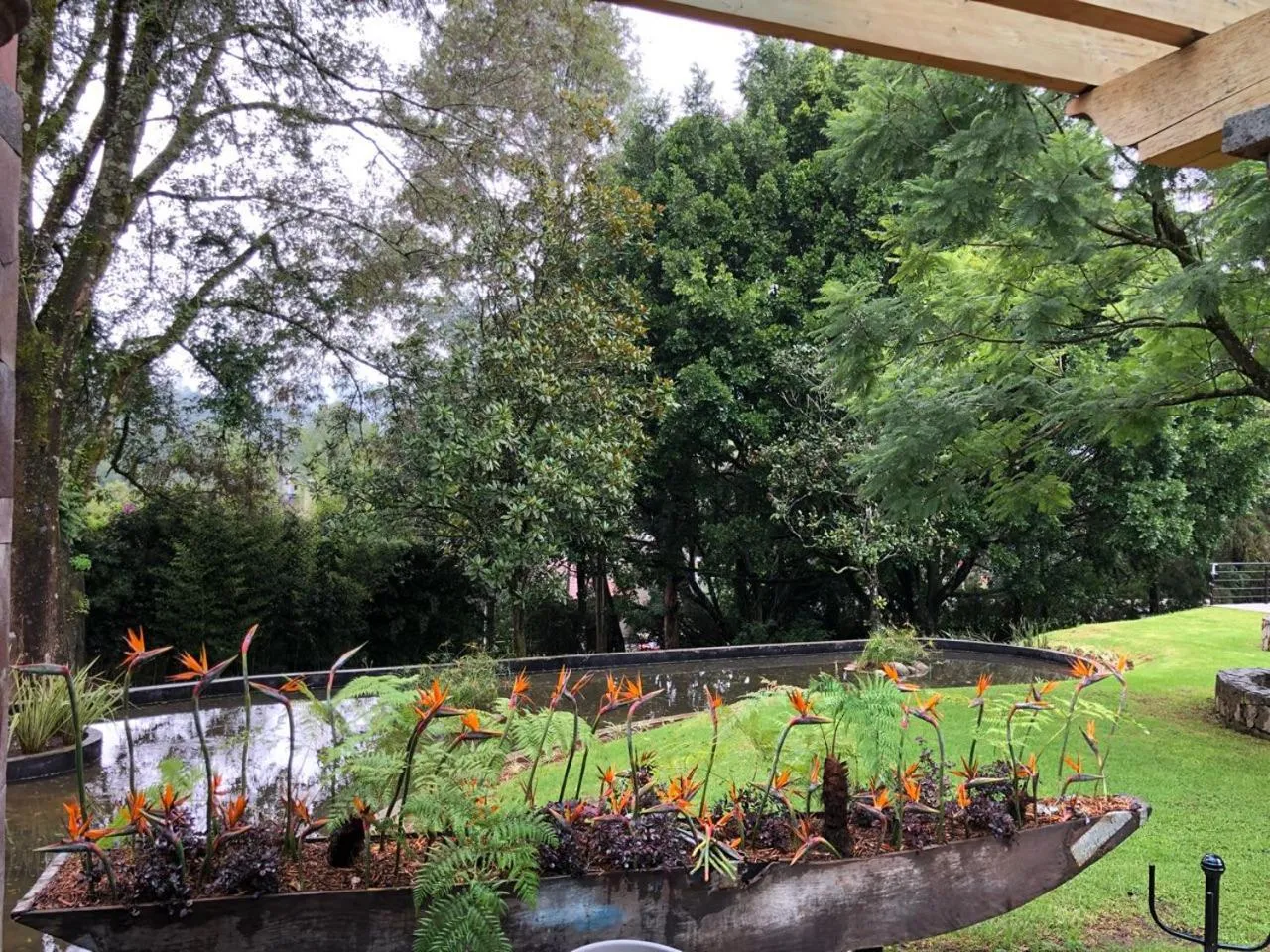 Garden in Hotel Boutique Unico Avandaro