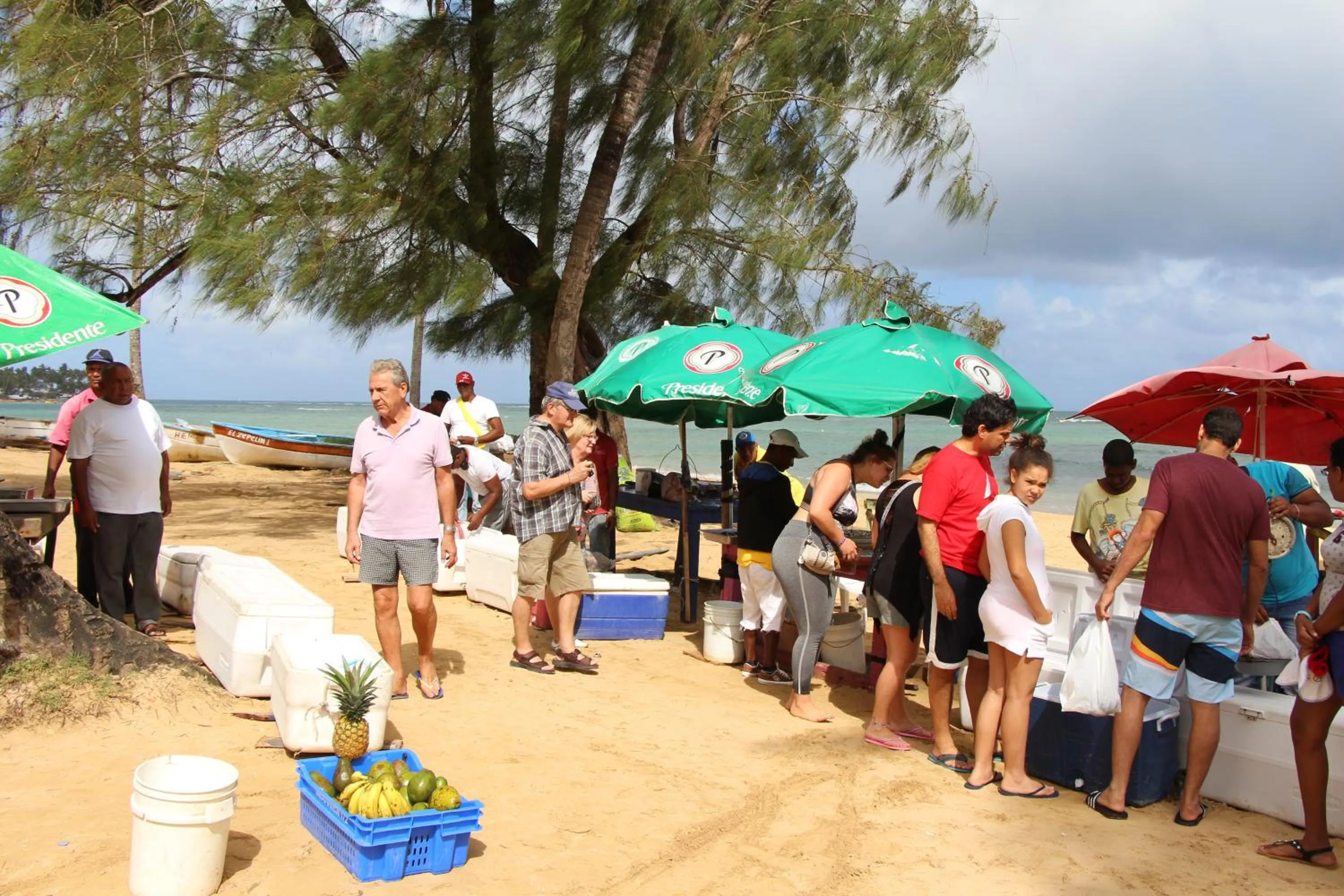 Caribbean Beach Villa Playa Bonita Las Terrenas