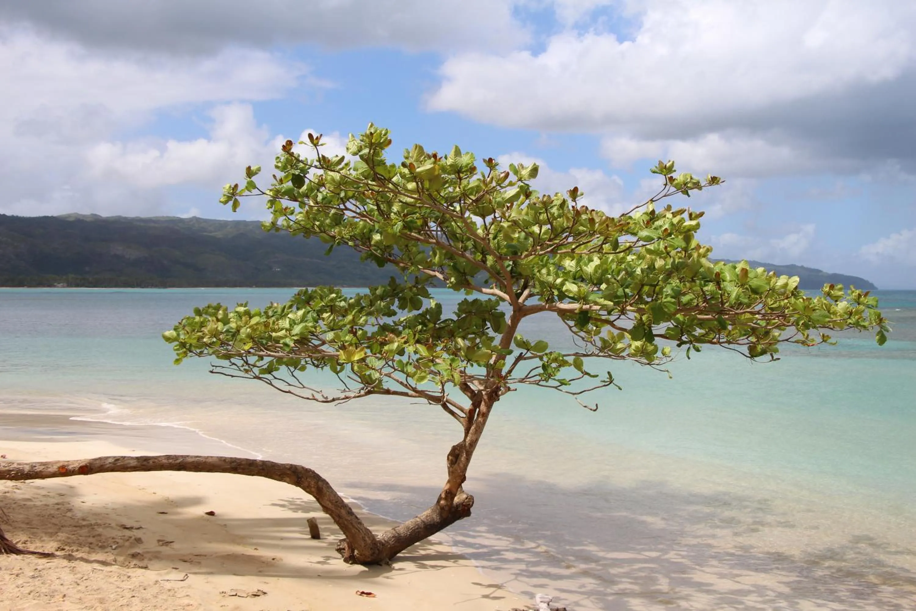 Caribbean Beach Villa Playa Bonita Las Terrenas