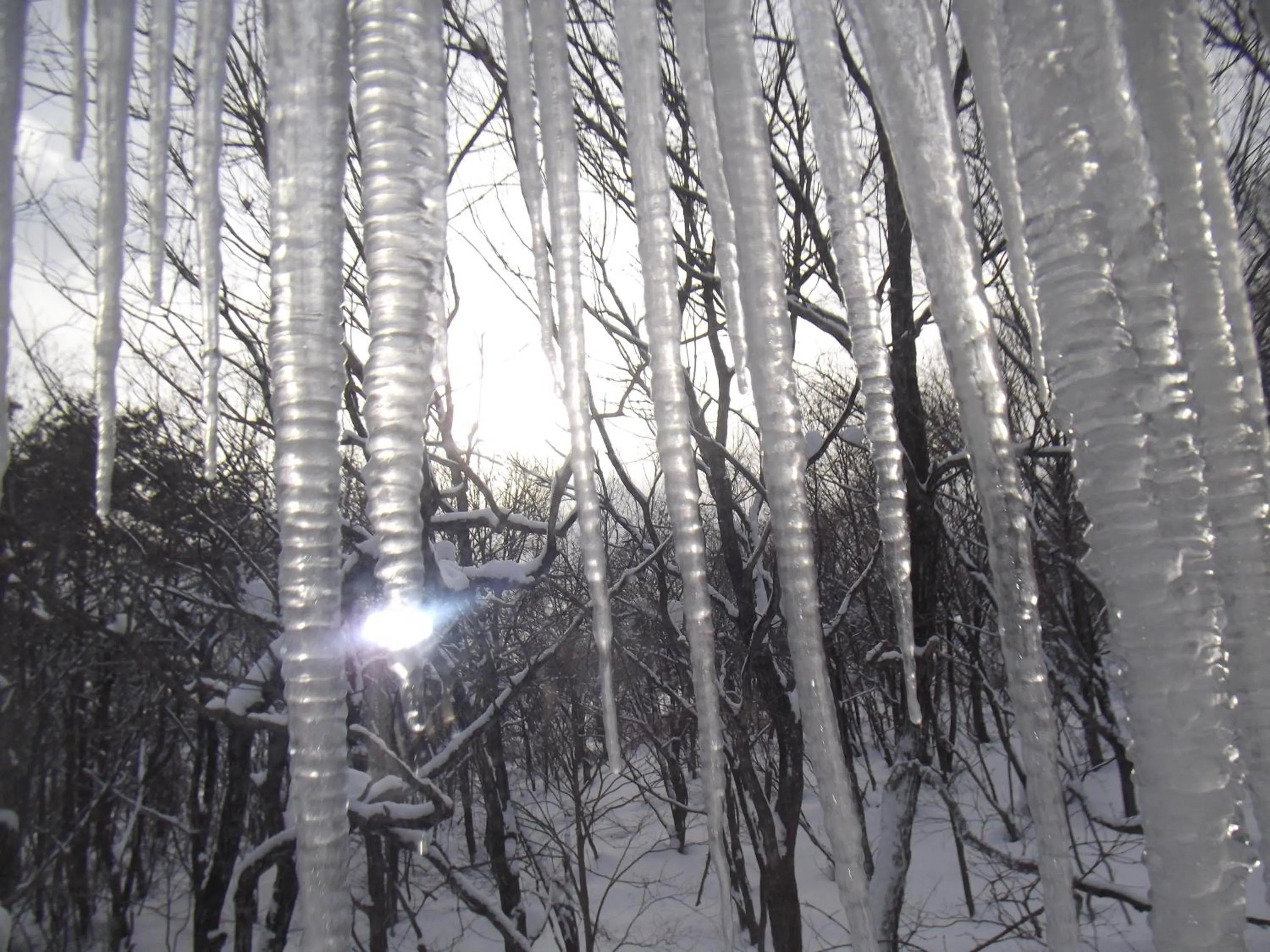 Winter in Pension Green Lake