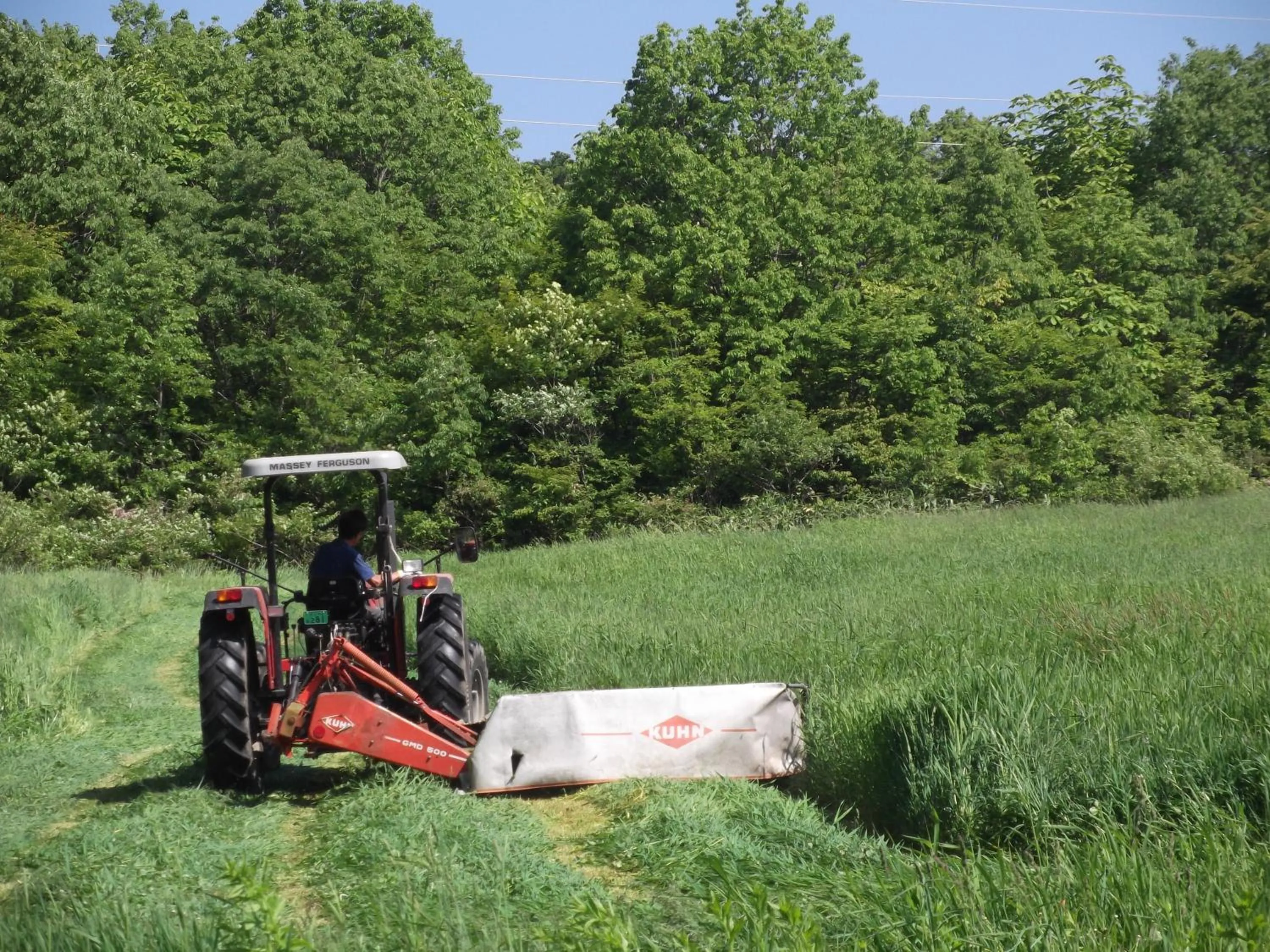 View (from property/room) in Pension Green Lake