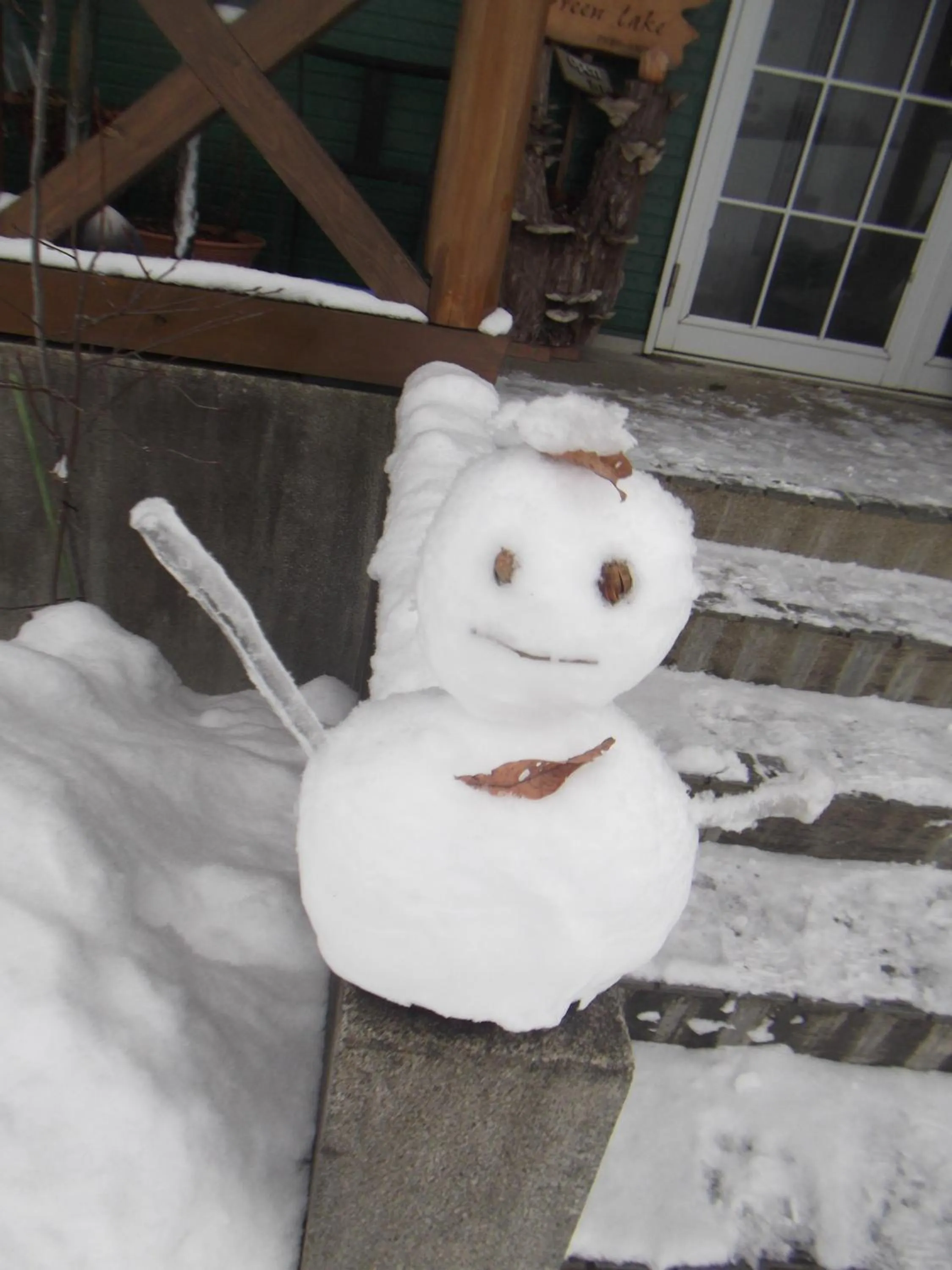 Winter in Pension Green Lake