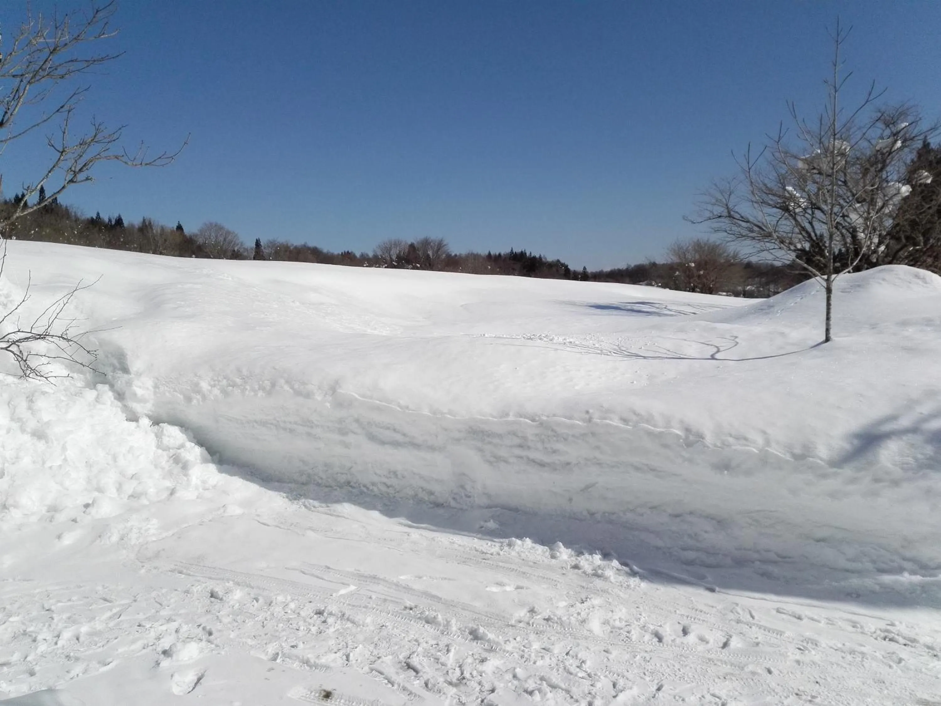 Off site in Pension Green Lake