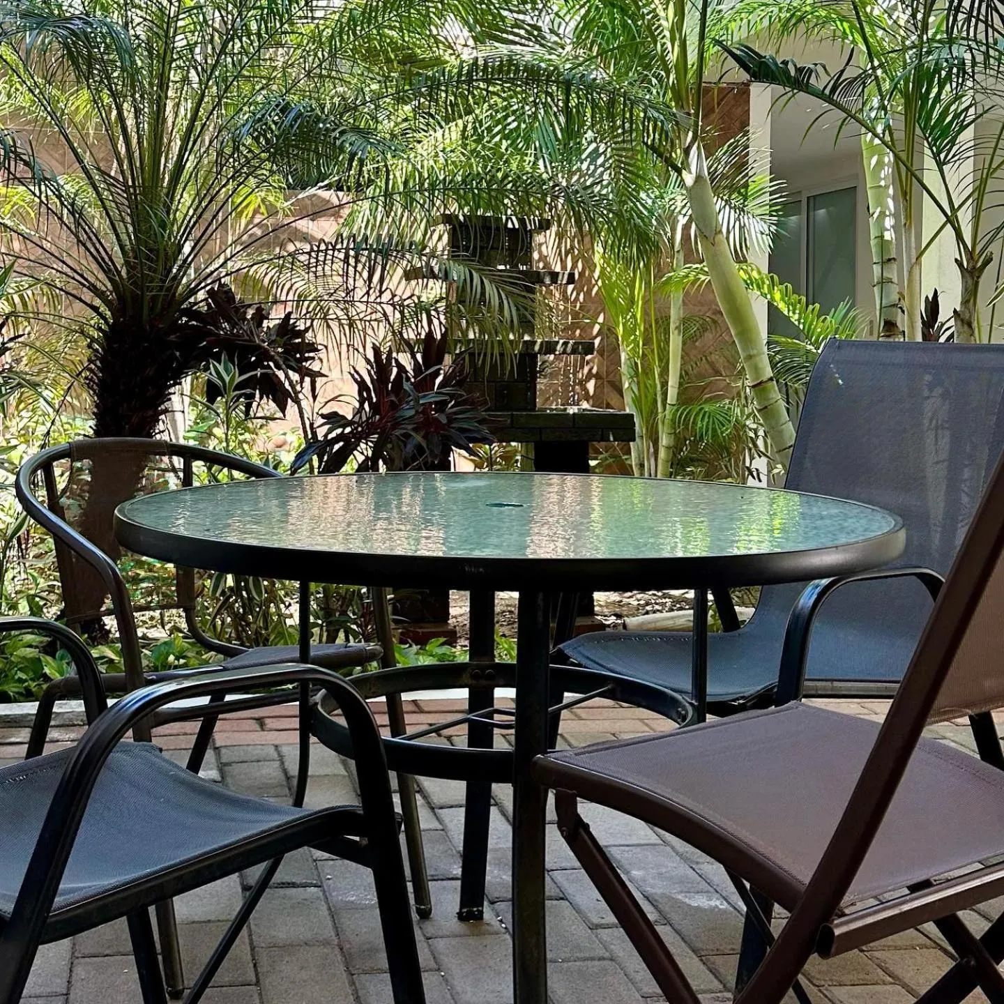 Garden in Hotel Rega Suites Guayabitos - Family & Kitchen