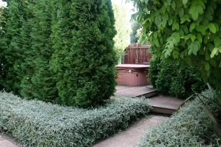 Hot Tub in Walnut Grove Lodge